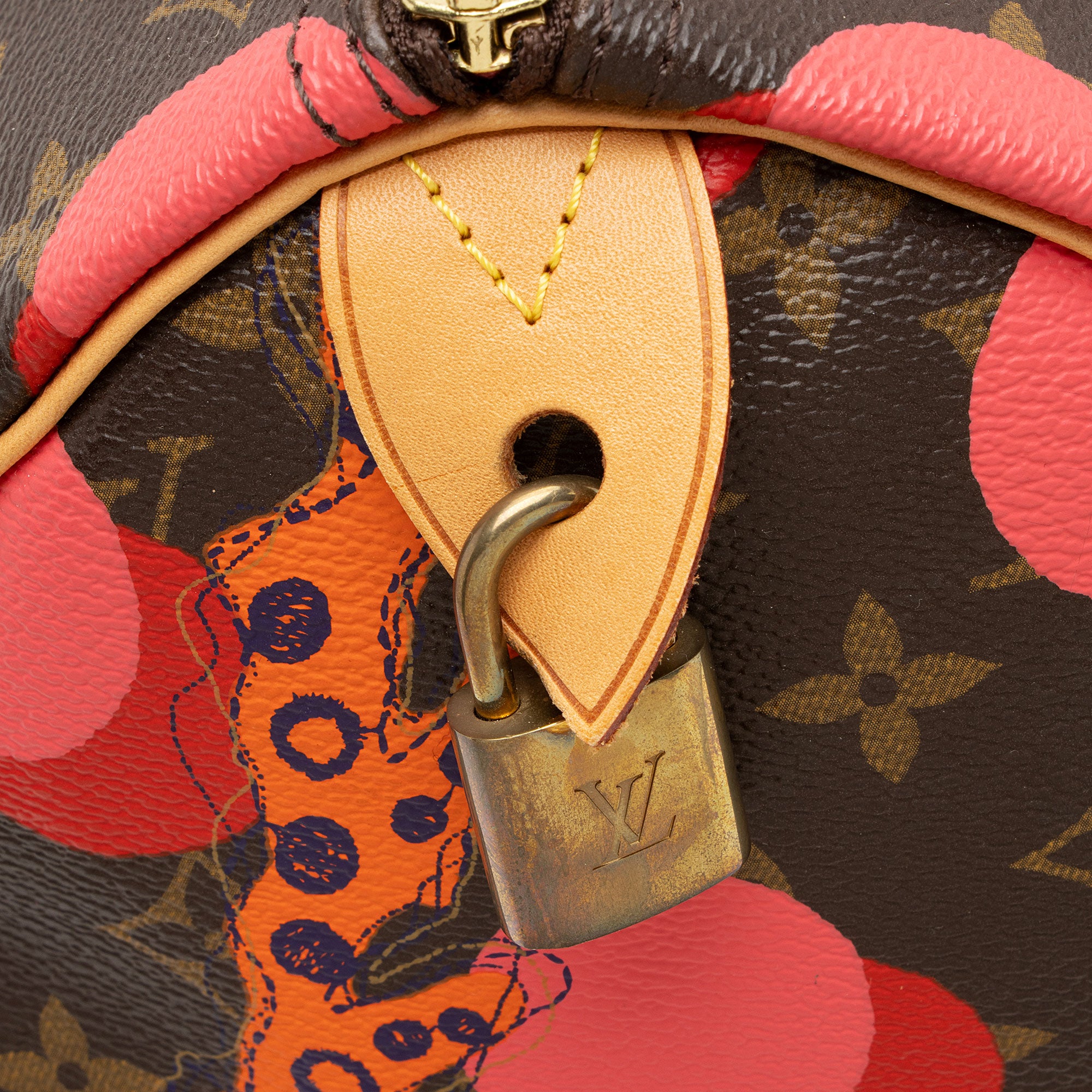 Louis Vuitton Limited Edition Monogram Canvas Ramages Speedy 30 Satchel