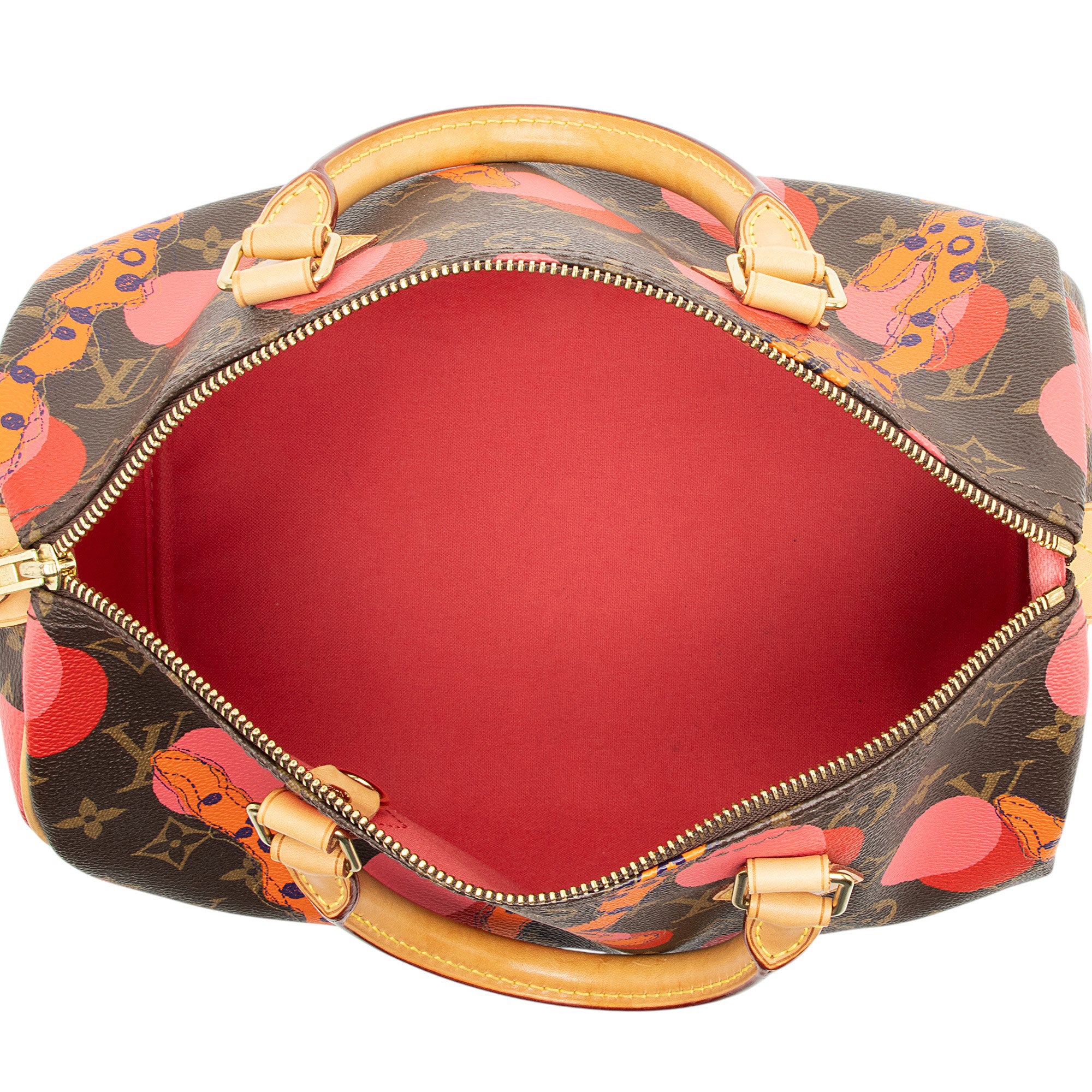 Louis Vuitton Limited Edition Monogram Canvas Ramages Speedy 30 Satchel