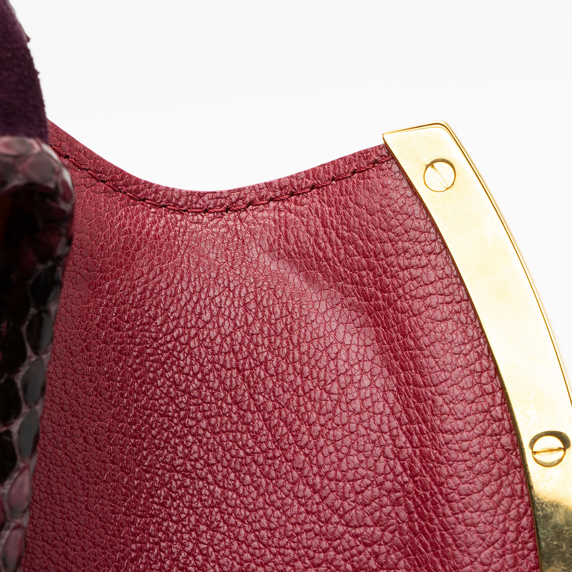 Louis Vuitton Limited Edition Monogram Savage Cub Clutch