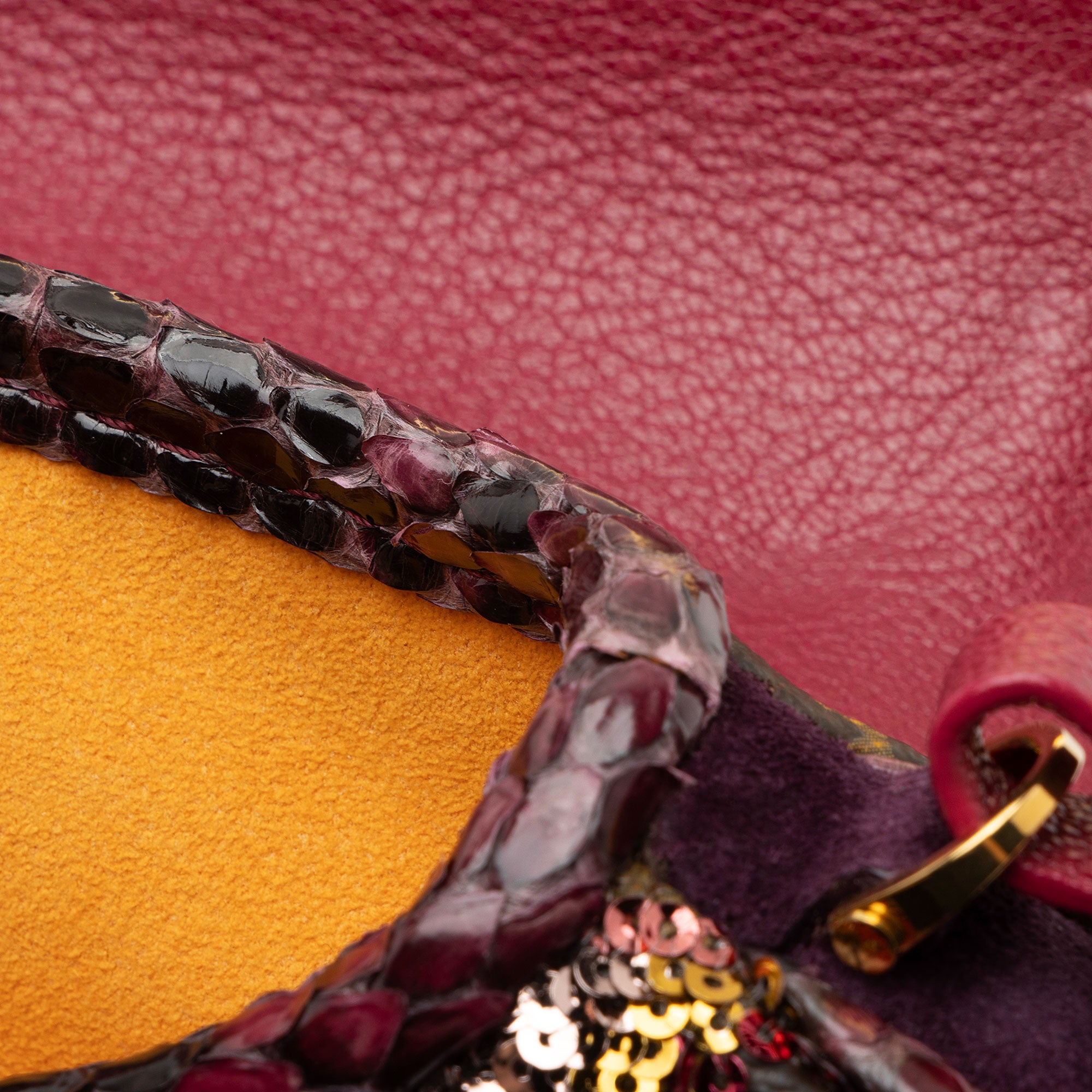 Louis Vuitton Limited Edition Monogram Savage Cub Clutch