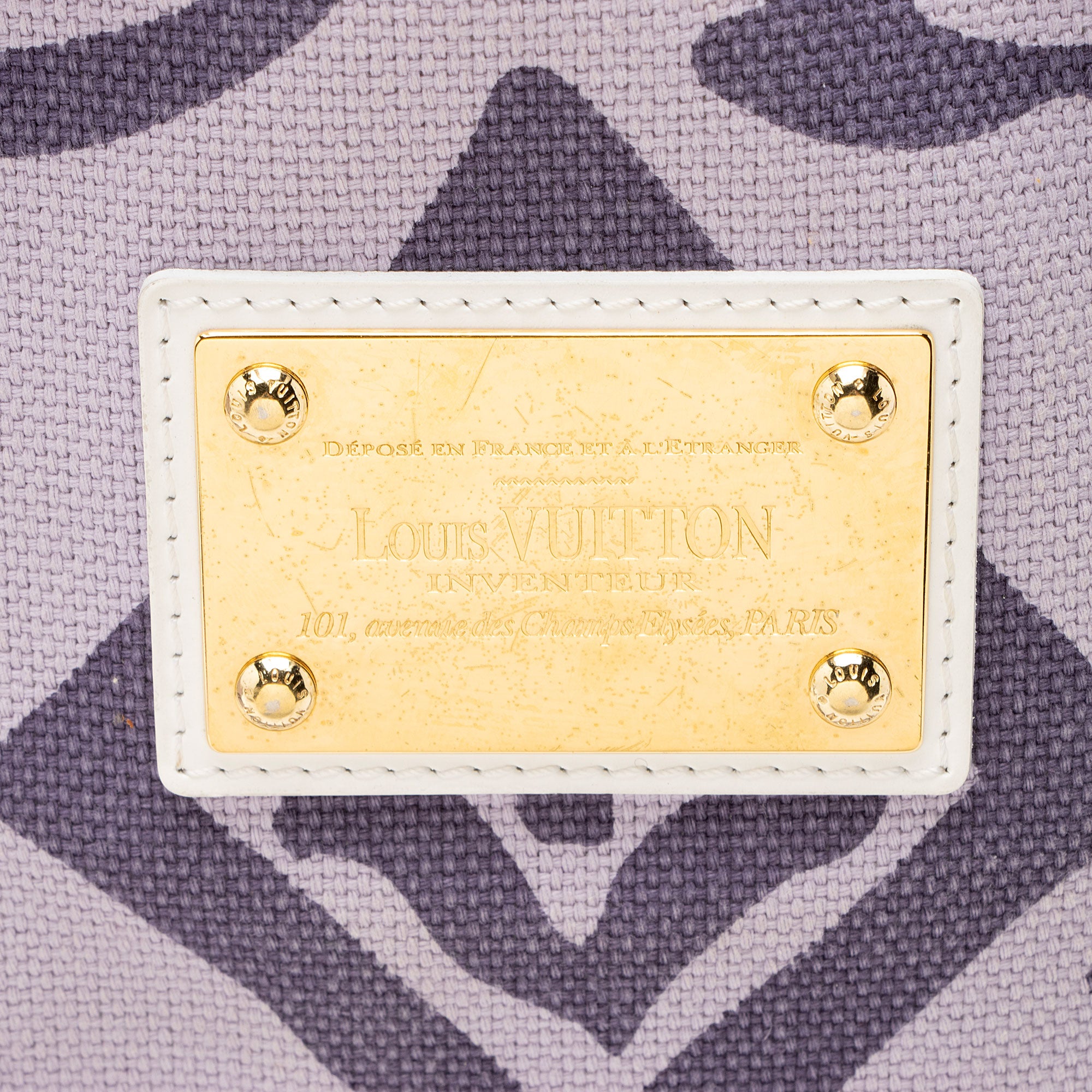 Louis Vuitton Limited Edition Tahitienne Cabas PM Tote