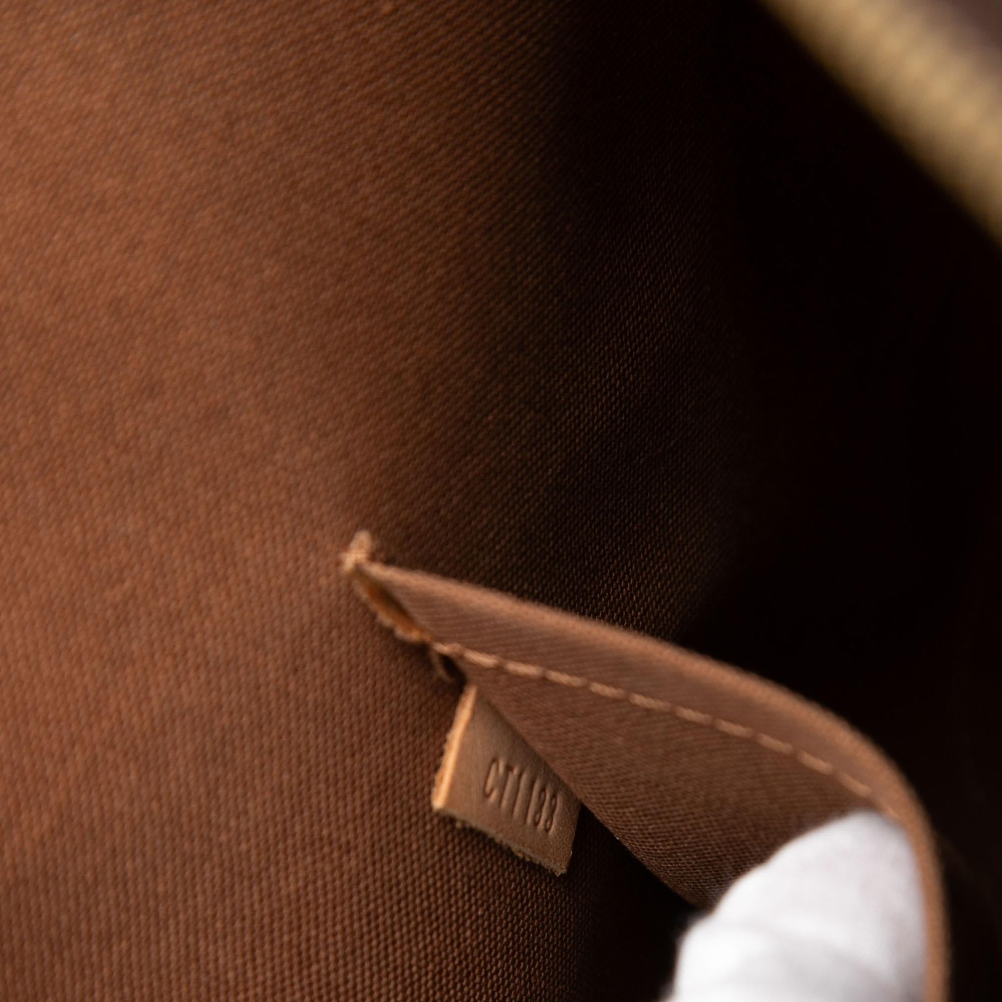 Louis Vuitton Monogram Alma MM