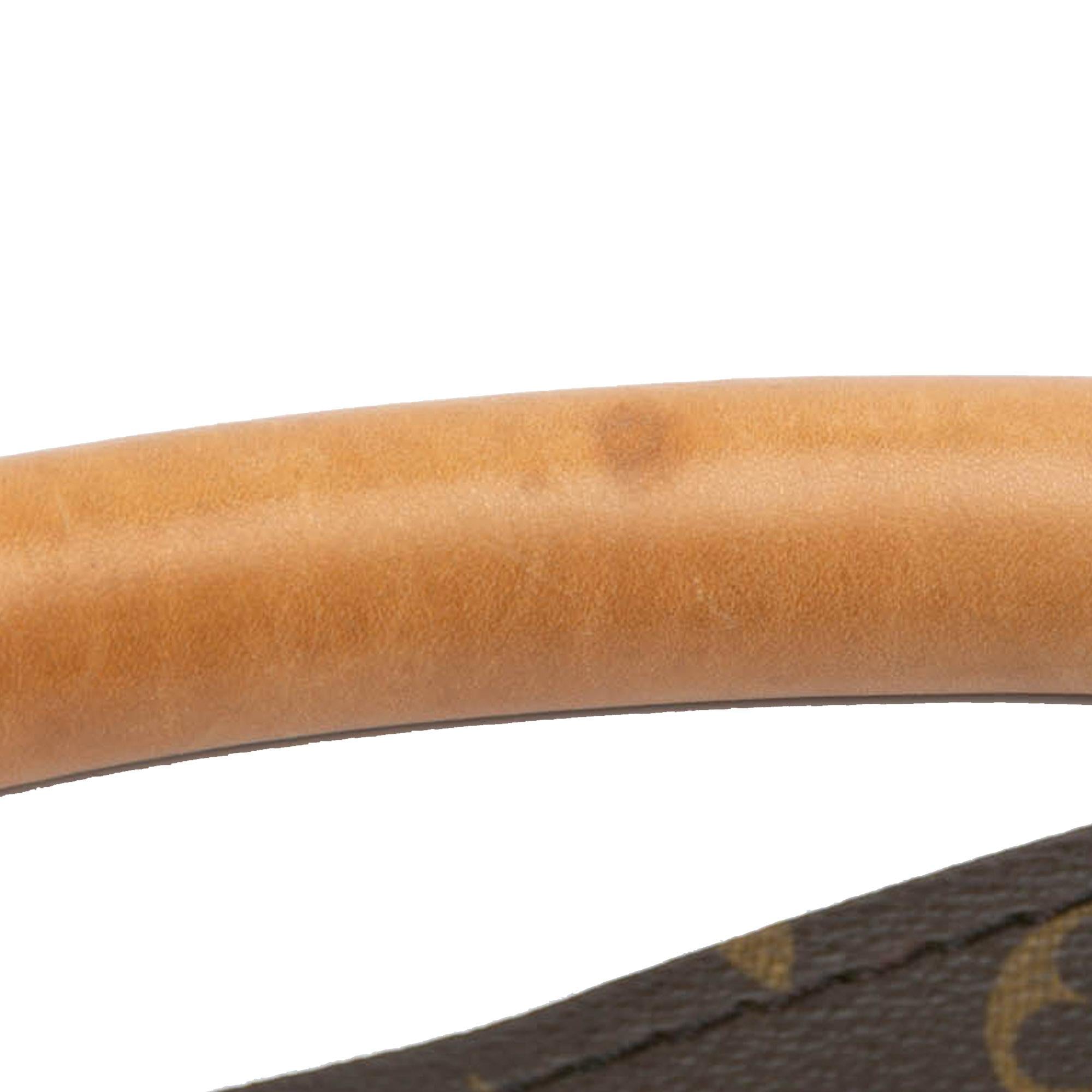 Louis Vuitton Monogram Artsy MM