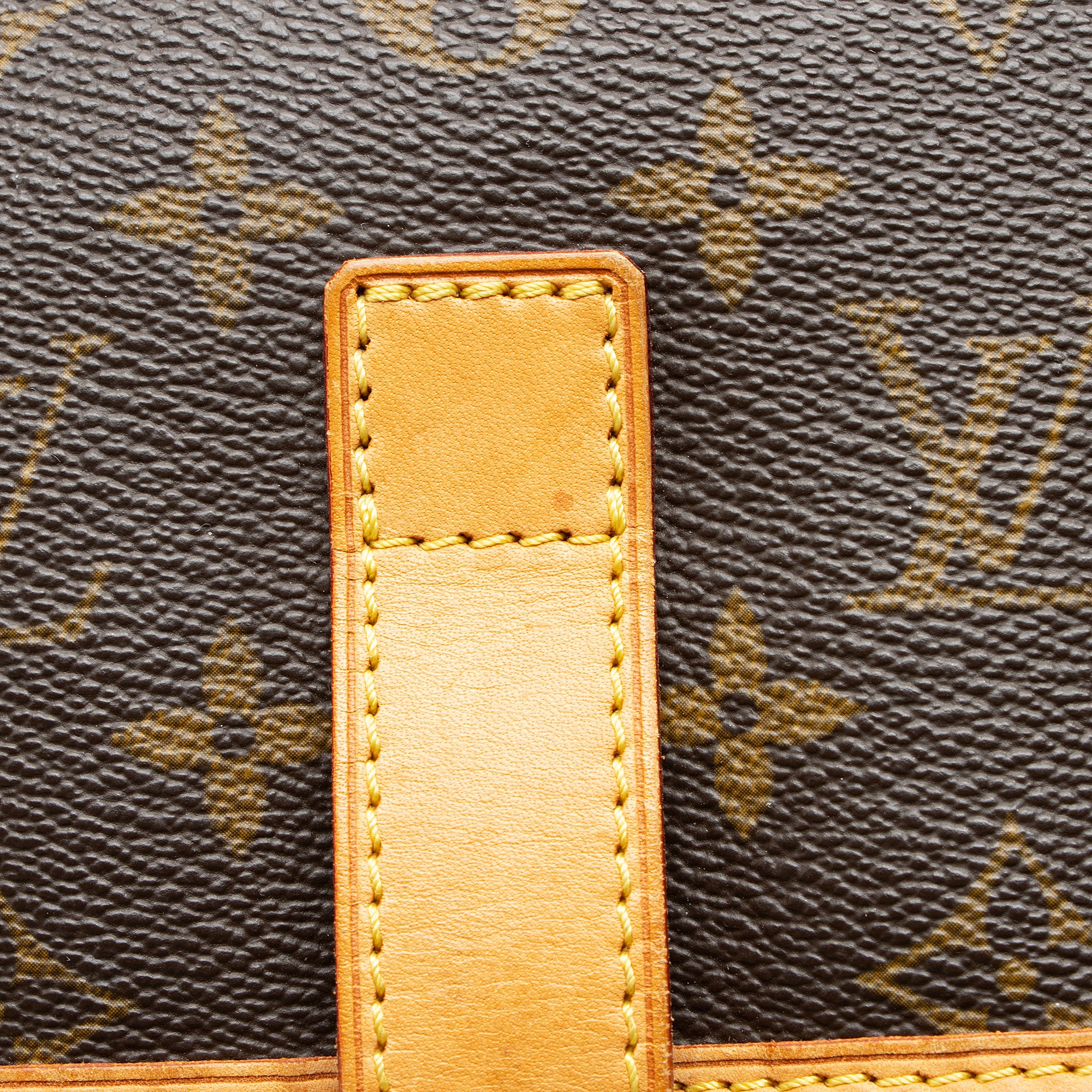 Louis Vuitton Monogram Canvas Bosphore Backpack
