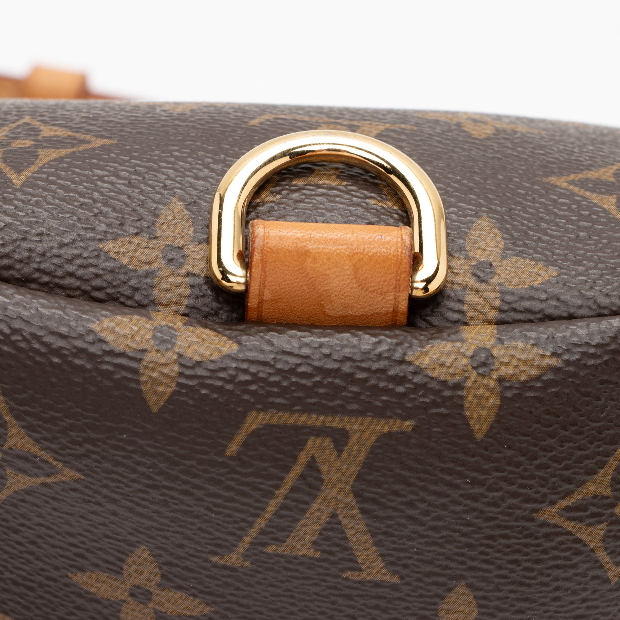 Louis Vuitton Monogram Canvas BumBag (SHF-C5Iztc)