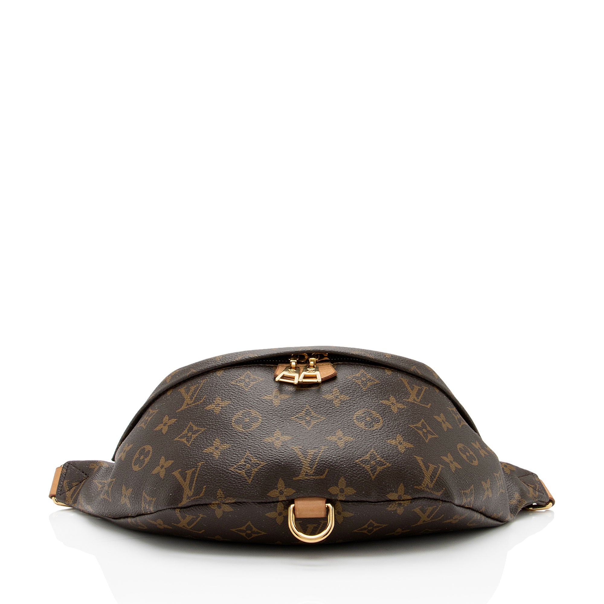 Louis Vuitton Monogram Canvas Bumbag (SHF-jJohPu)