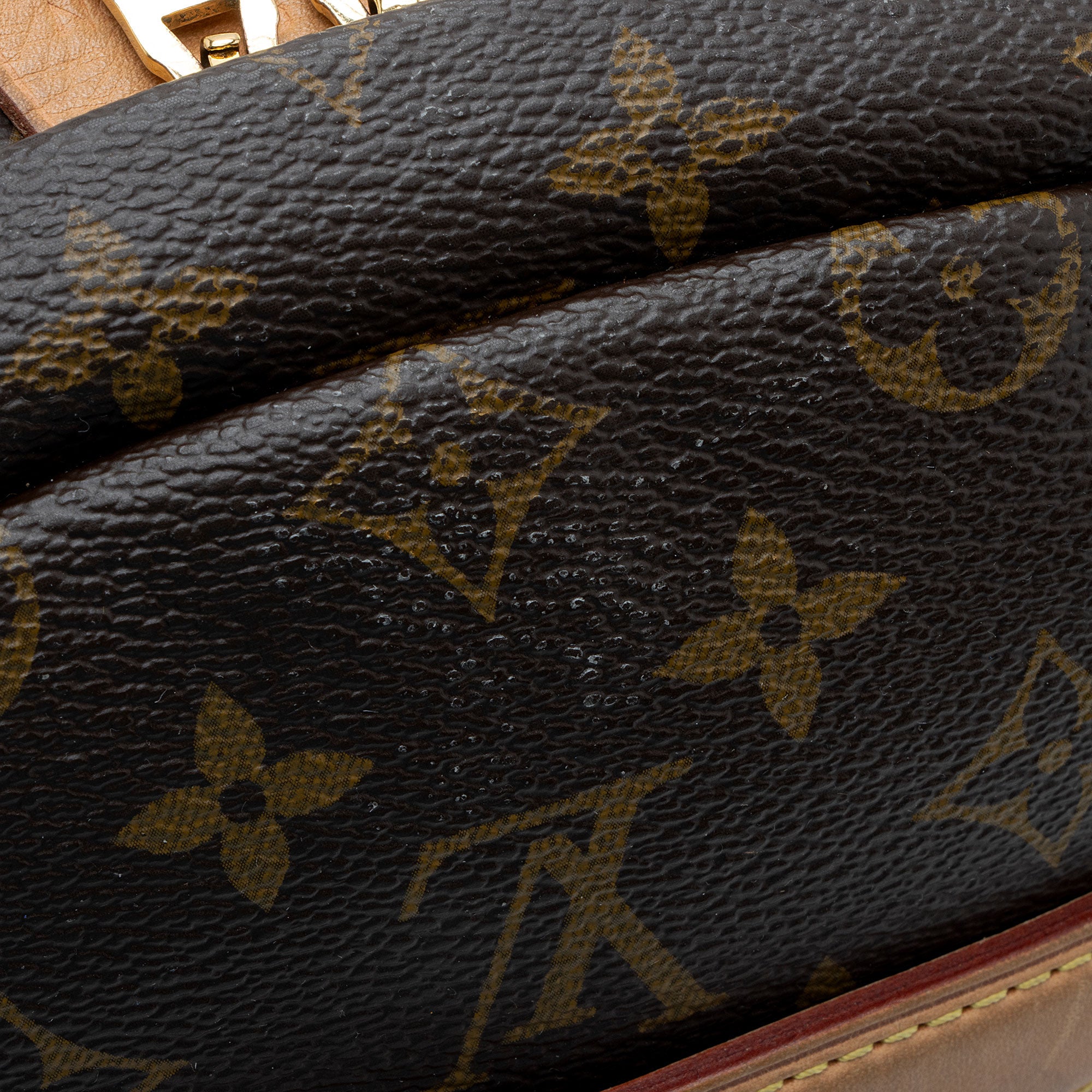 Louis Vuitton Monogram Canvas Bumbag (SHF-jJohPu)