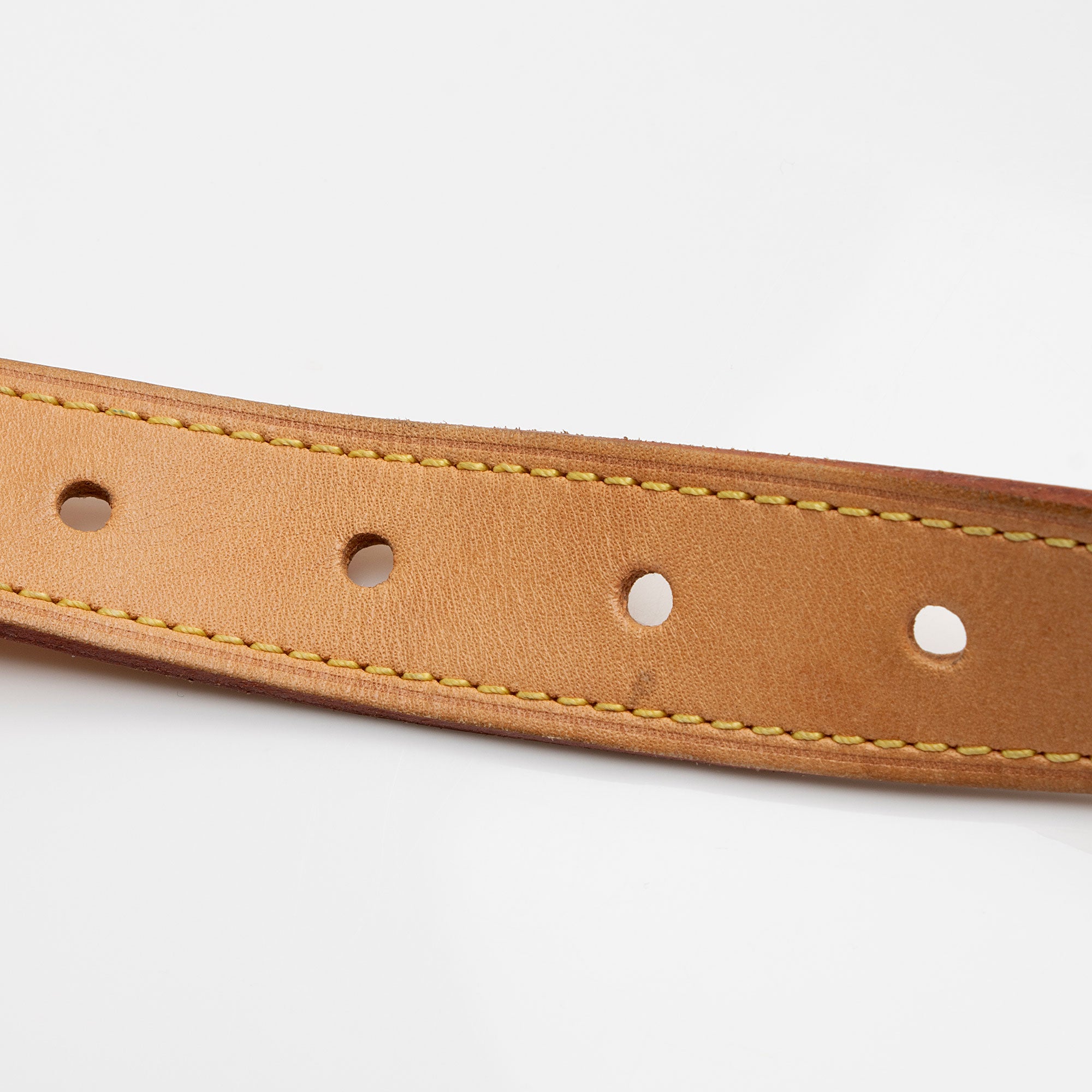 Louis Vuitton Monogram Canvas Bumbag (SHF-jJohPu)