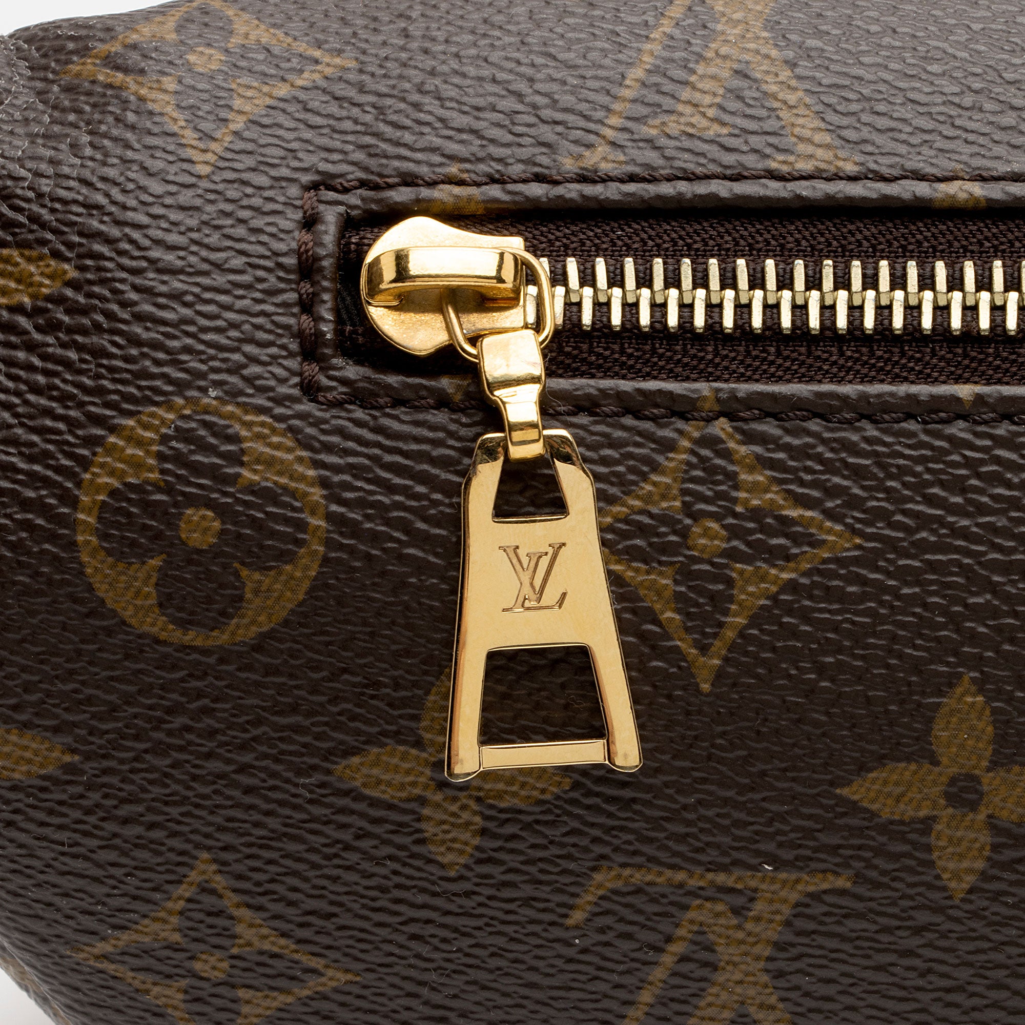 Louis Vuitton Monogram Canvas Bumbag (SHF-jJohPu)