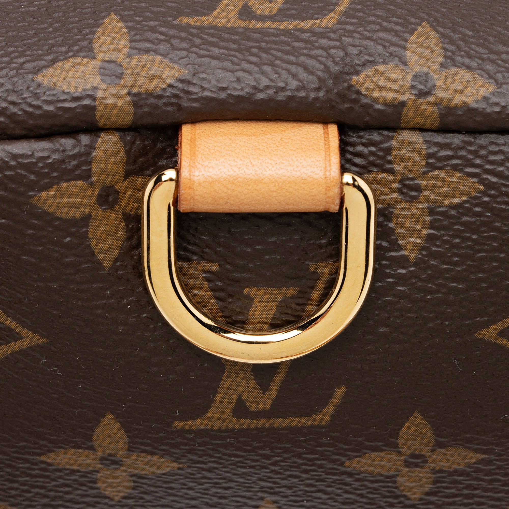 Louis Vuitton Monogram Canvas Bumbag (SHF-NGDAHd)