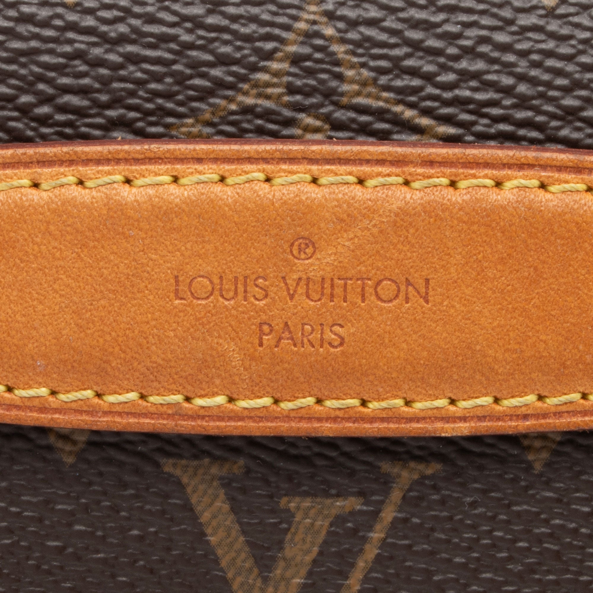 Louis Vuitton Monogram Canvas Bumbag (SHF-BfWtHC)