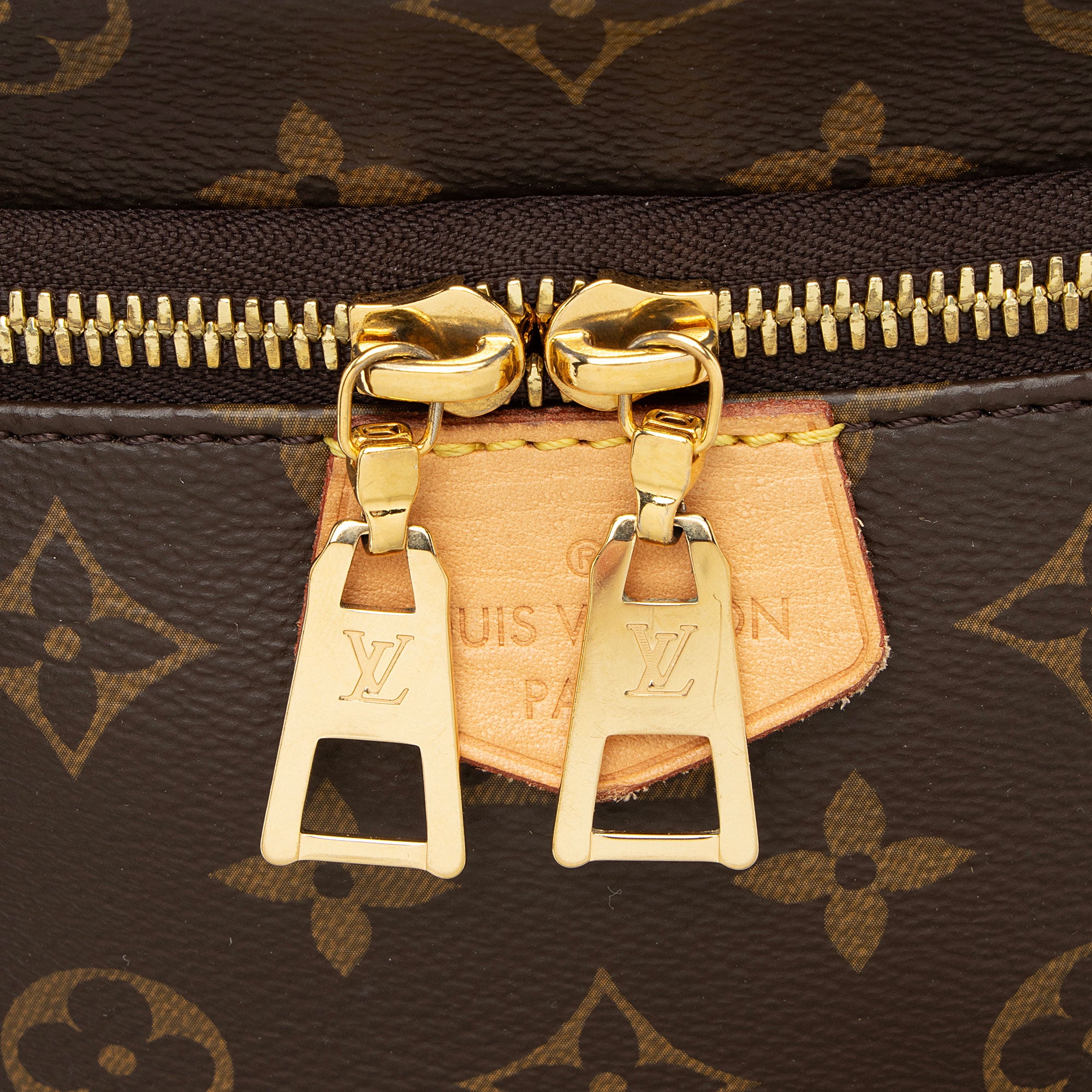 Louis Vuitton Monogram Canvas Bumbag