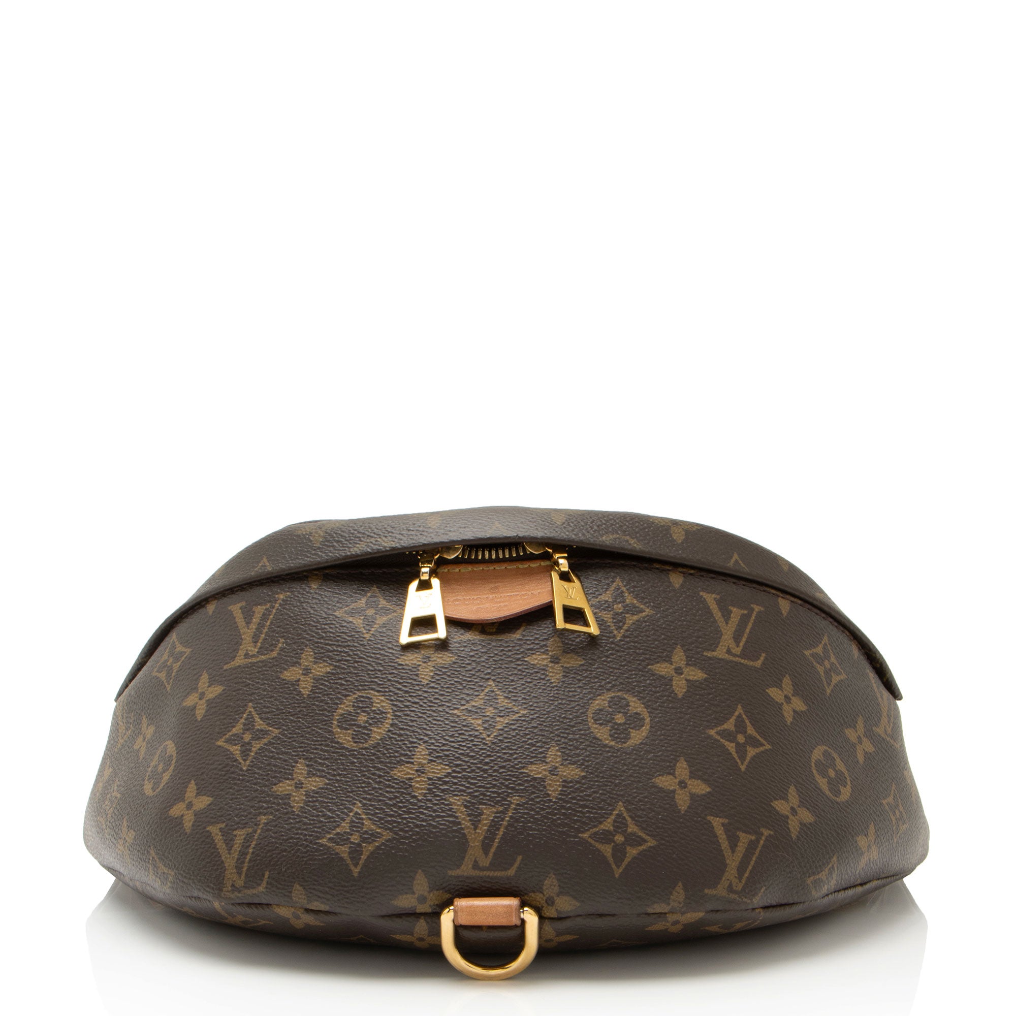 Louis Vuitton Monogram Canvas Bumbag