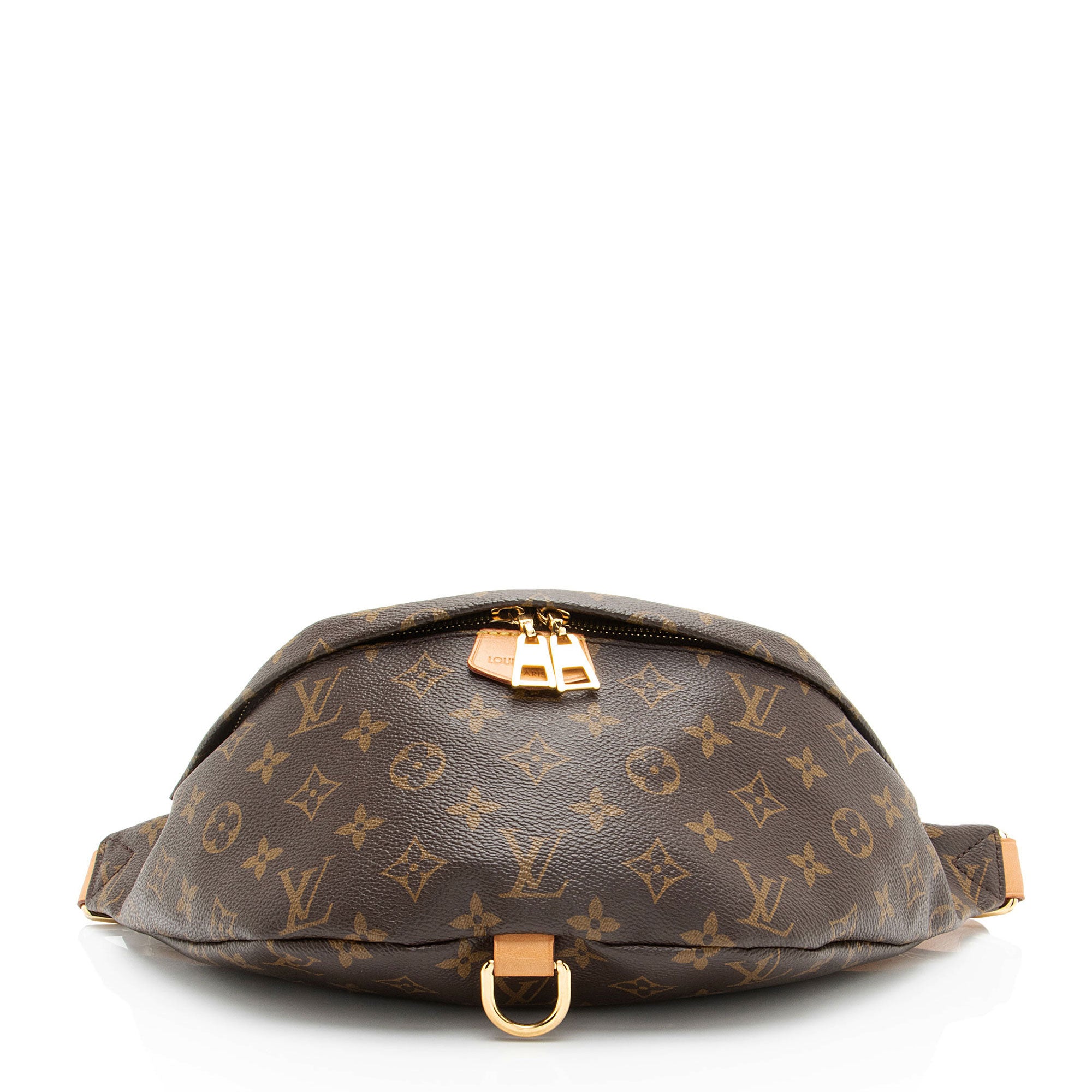 Louis Vuitton Monogram Canvas Bumbag