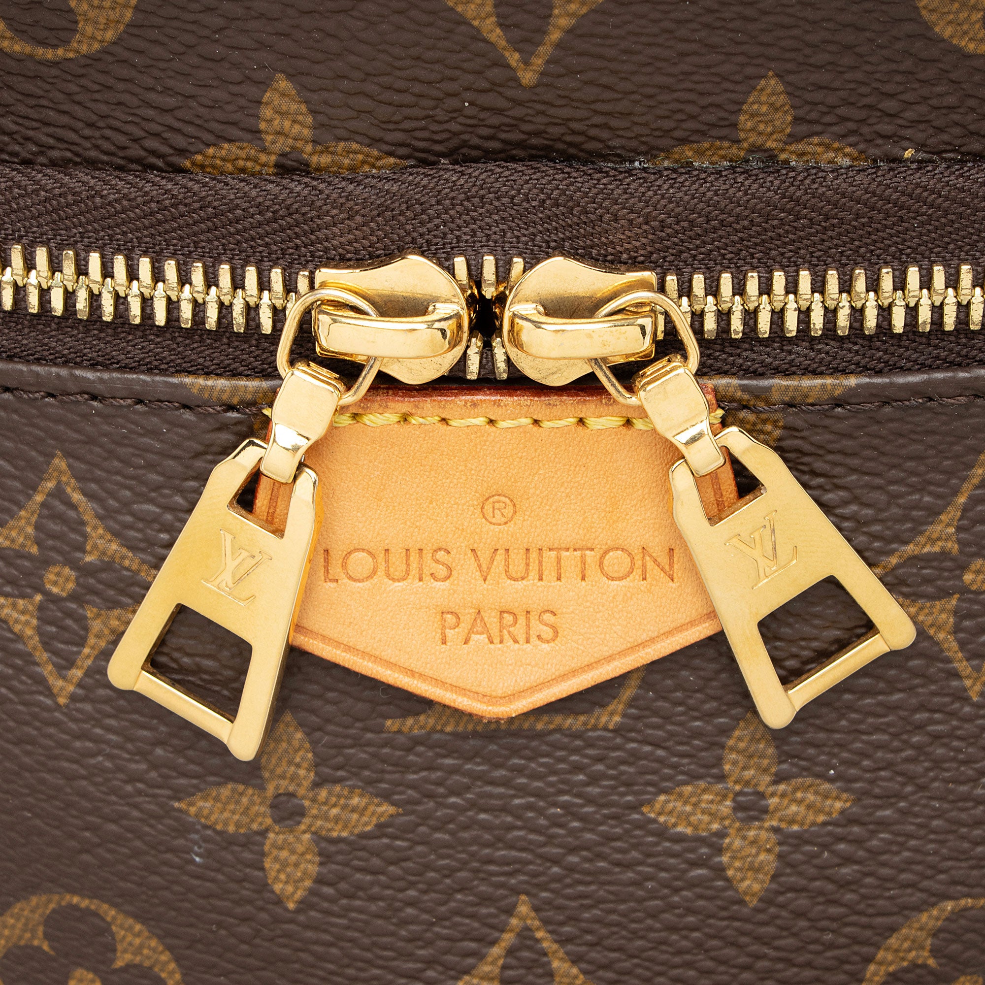 Louis Vuitton Monogram Canvas Bumbag