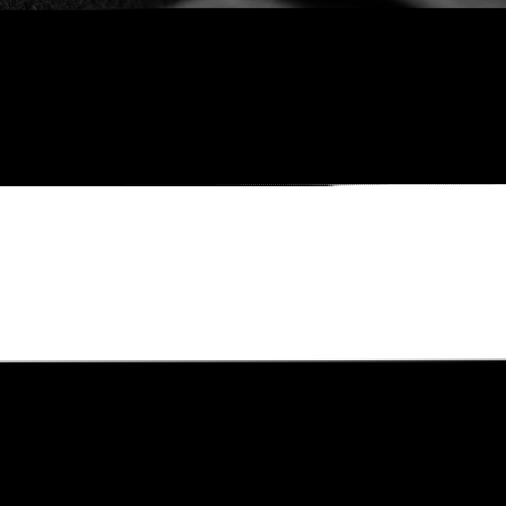 Louis Vuitton Monogram Canvas Calfskin Biface Shoulder Bag