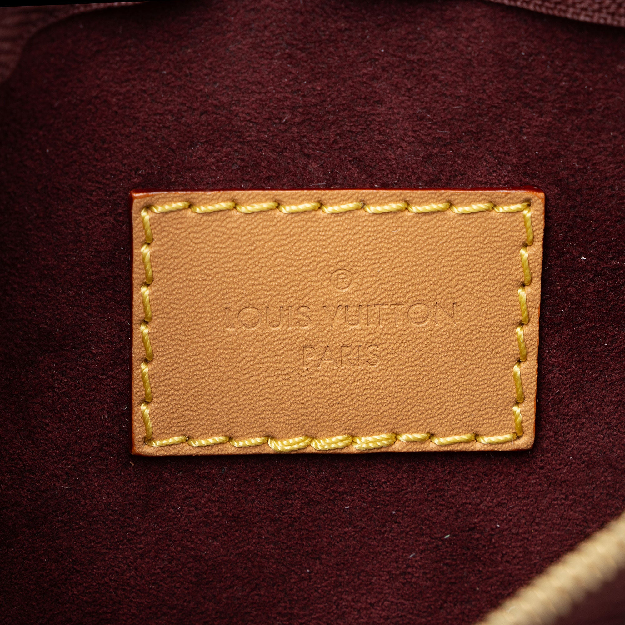 Louis Vuitton Monogram Canvas CarryAll PM Pochette
