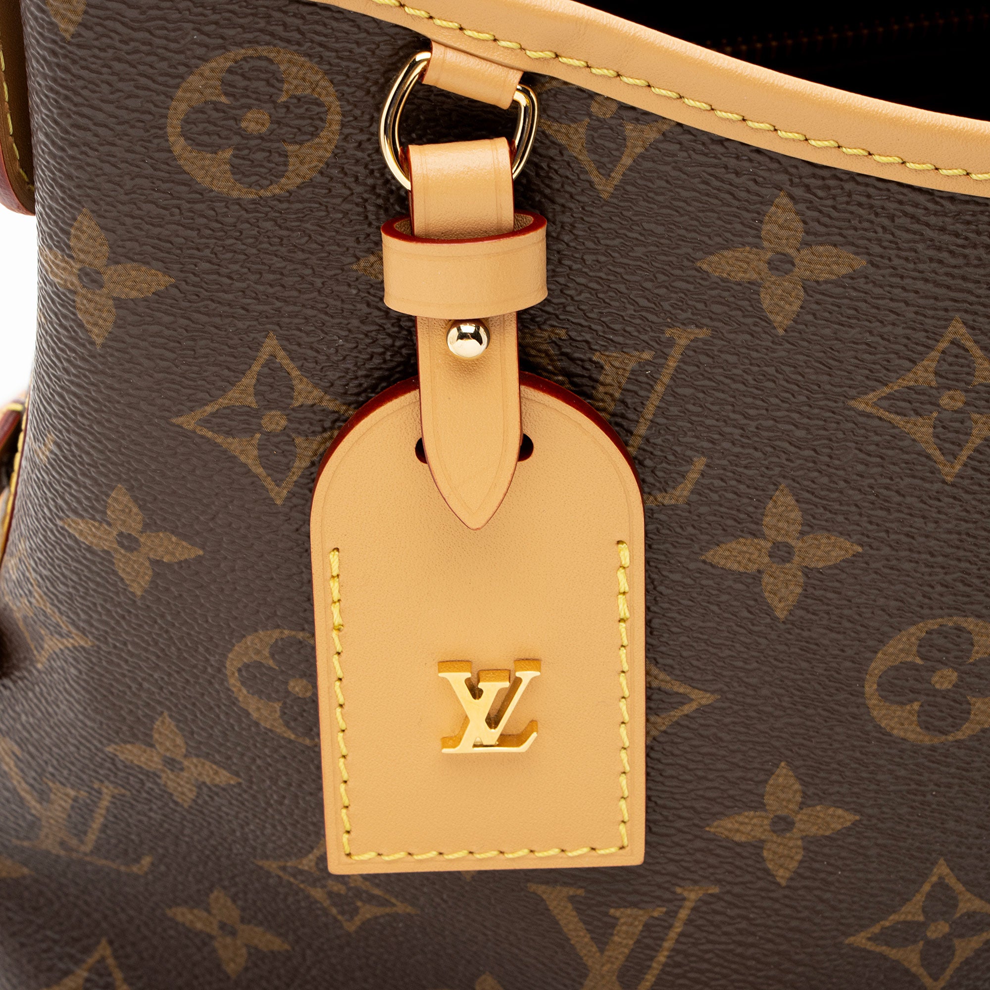 Louis Vuitton Monogram Canvas CarryAll PM Shoulder Bag