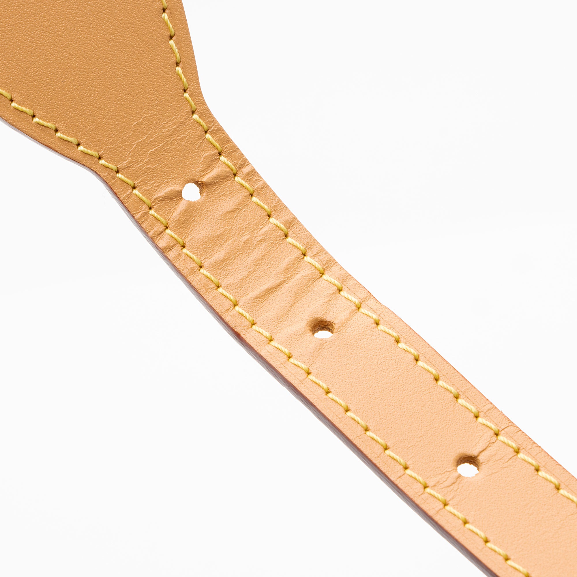 Louis Vuitton Monogram Canvas CarryAll PM Shoulder Bag