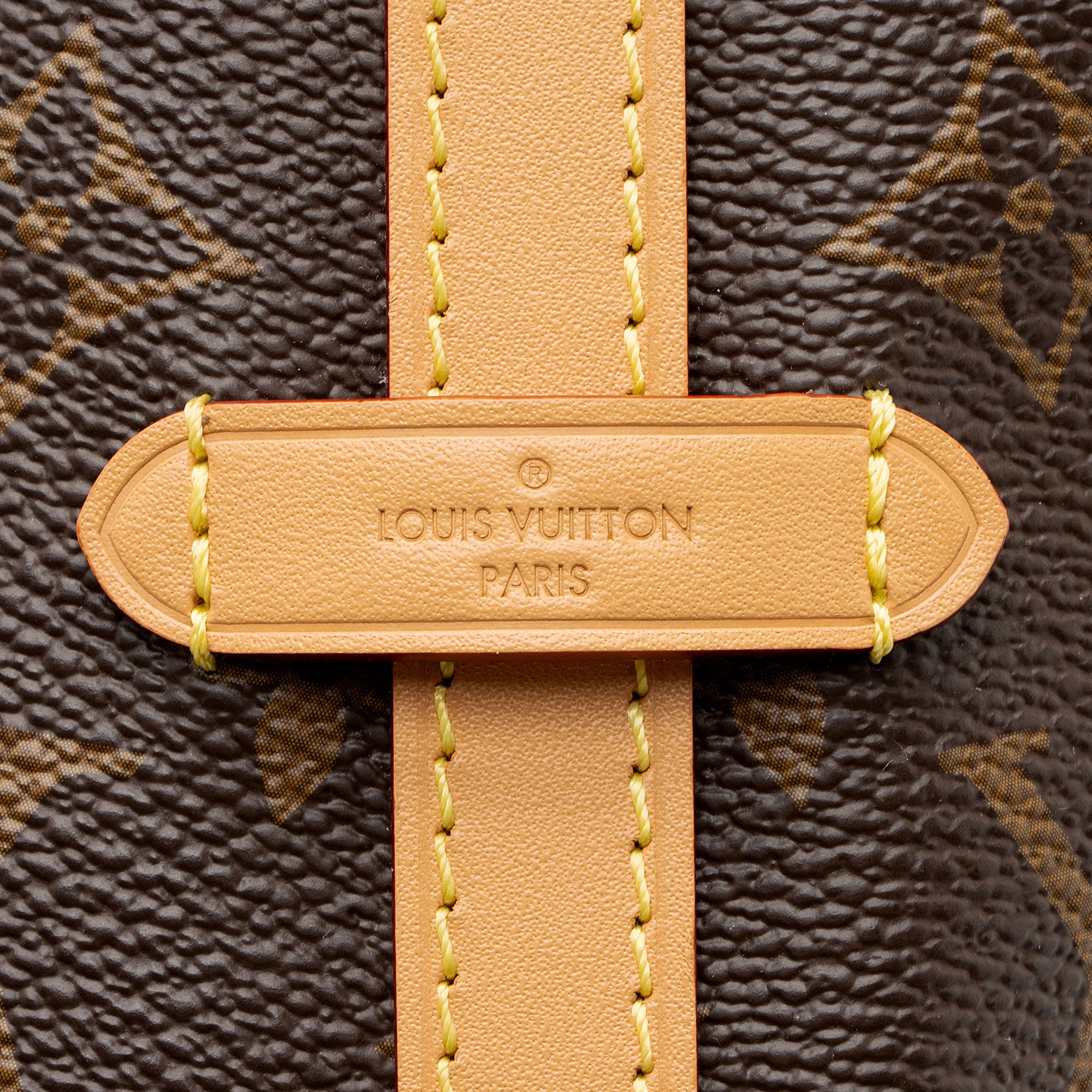 Louis Vuitton Monogram Canvas CarryAll PM Shoulder Bag