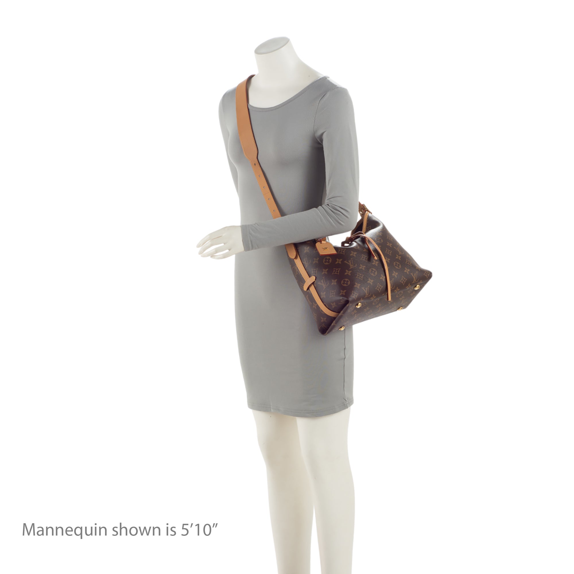 Louis Vuitton Monogram Canvas CarryAll PM Shoulder Bag