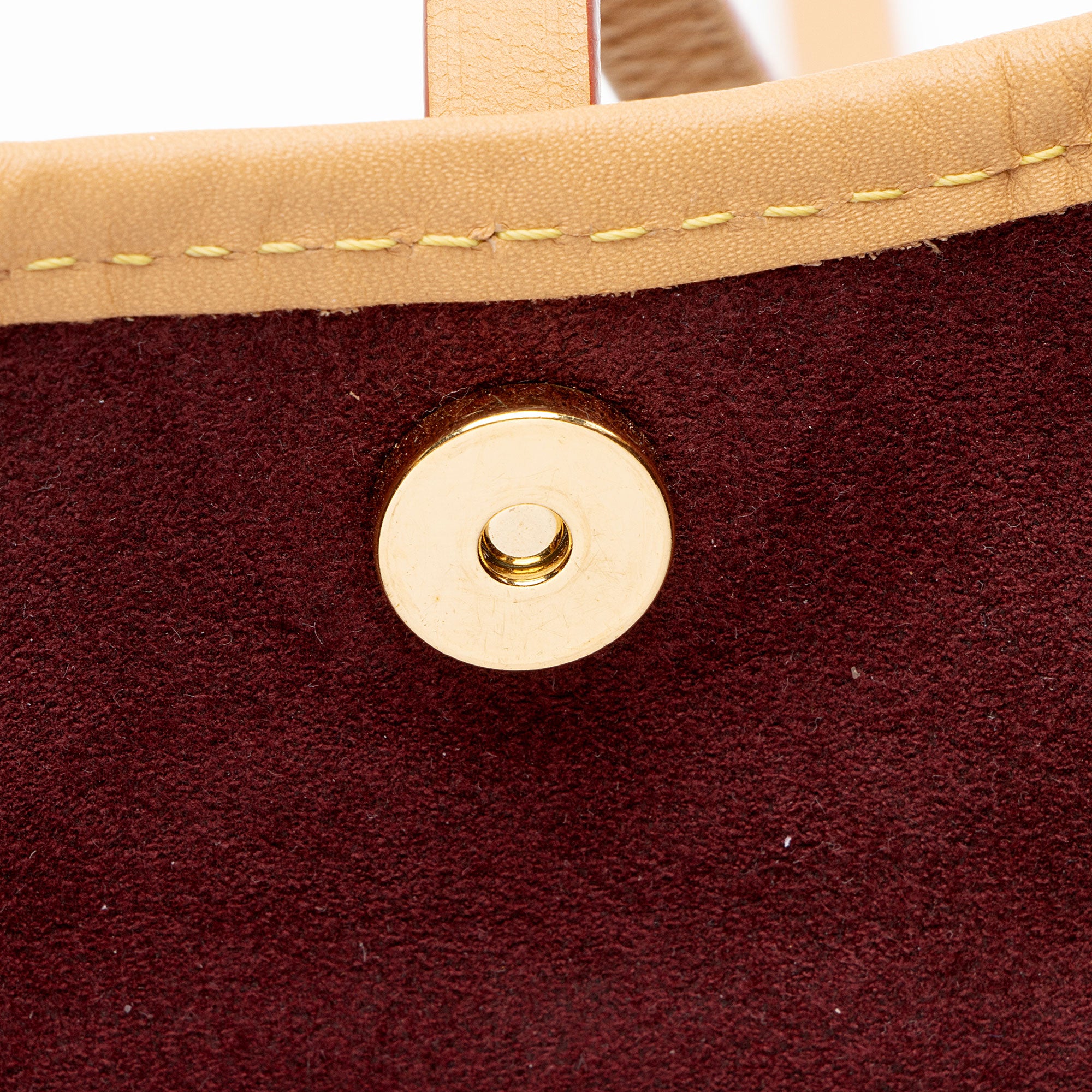 Louis Vuitton Monogram Canvas CarryAll PM Shoulder Bag