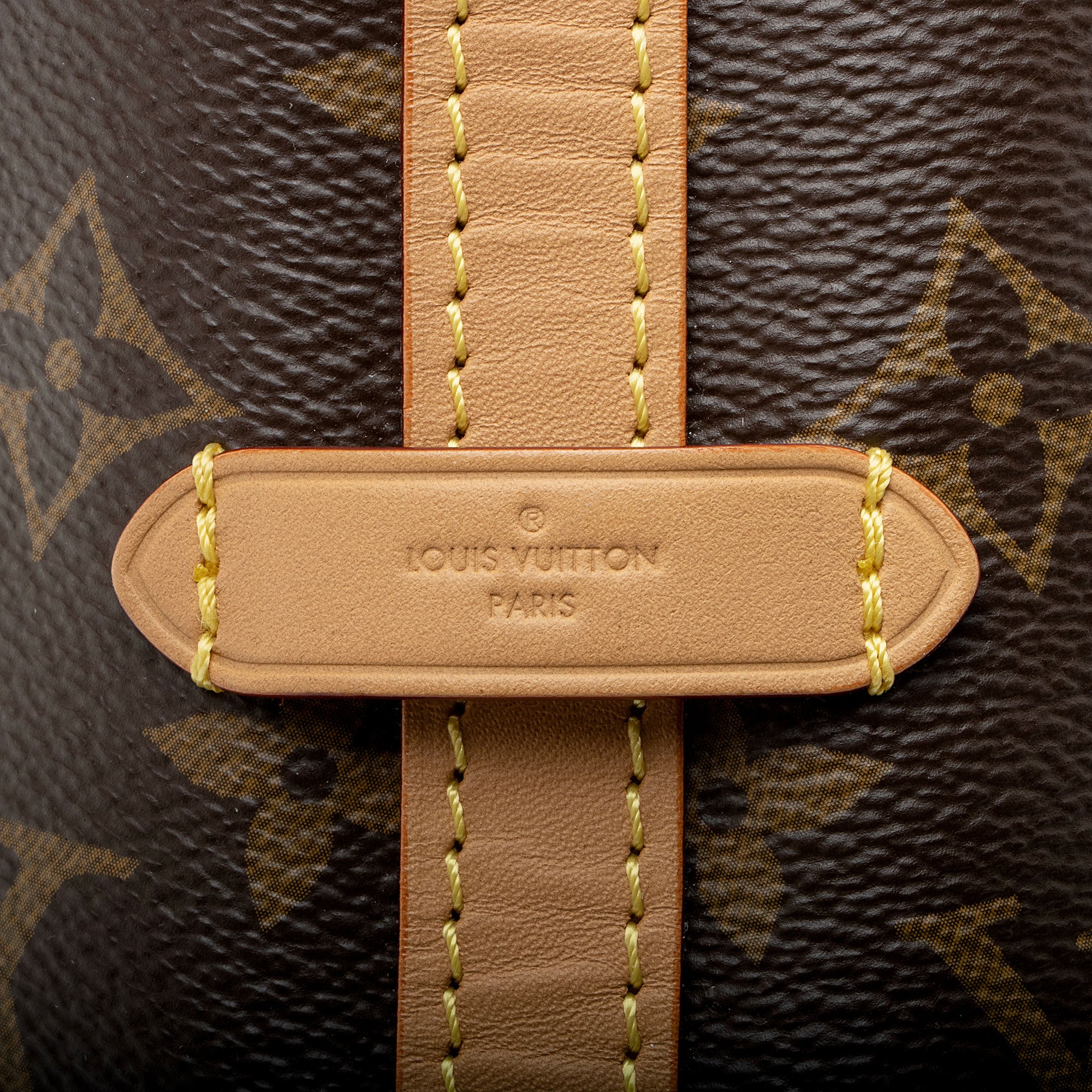 Louis Vuitton Monogram Canvas CarryAll PM Shoulder Bag