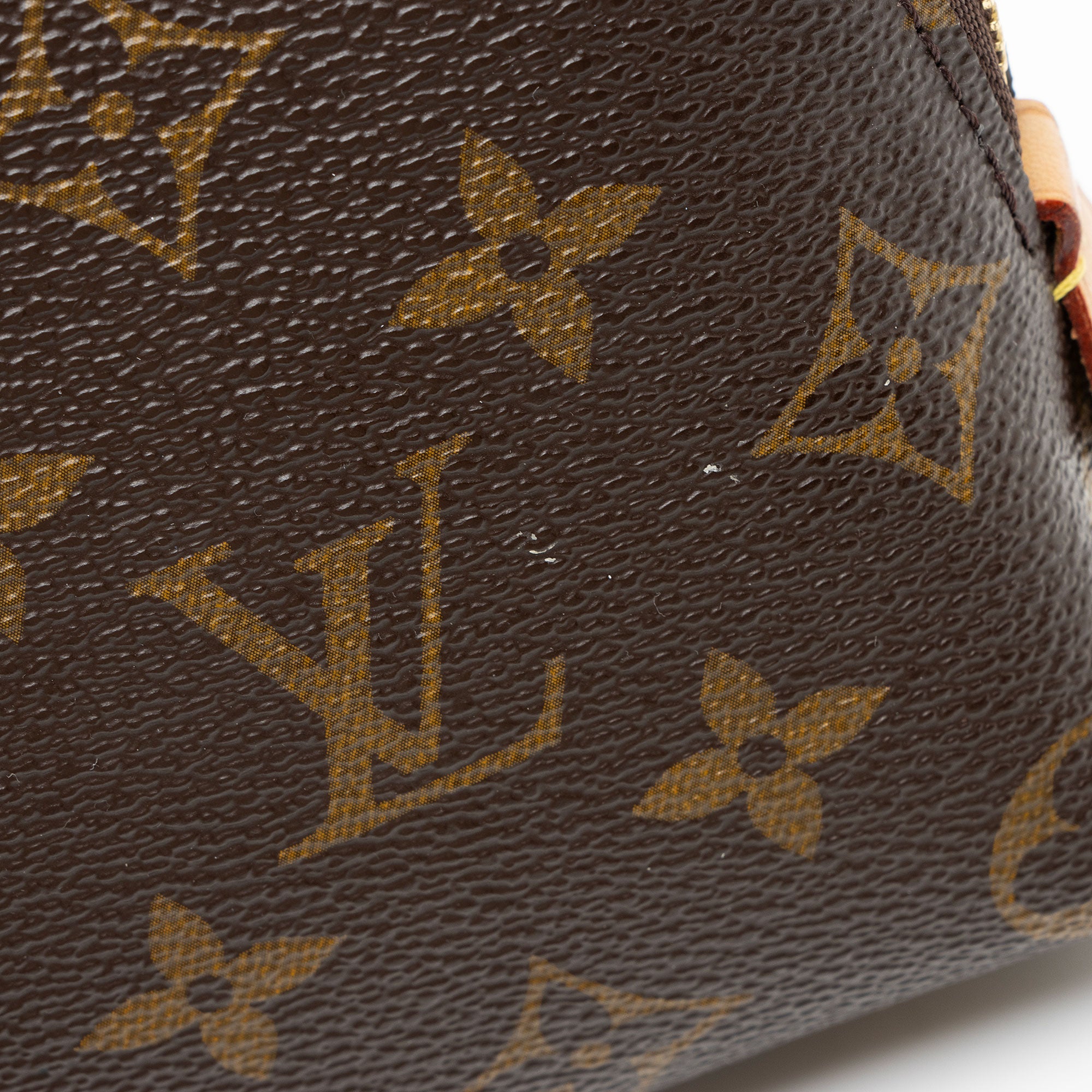 Louis Vuitton Monogram Canvas Cosmetic Pouch