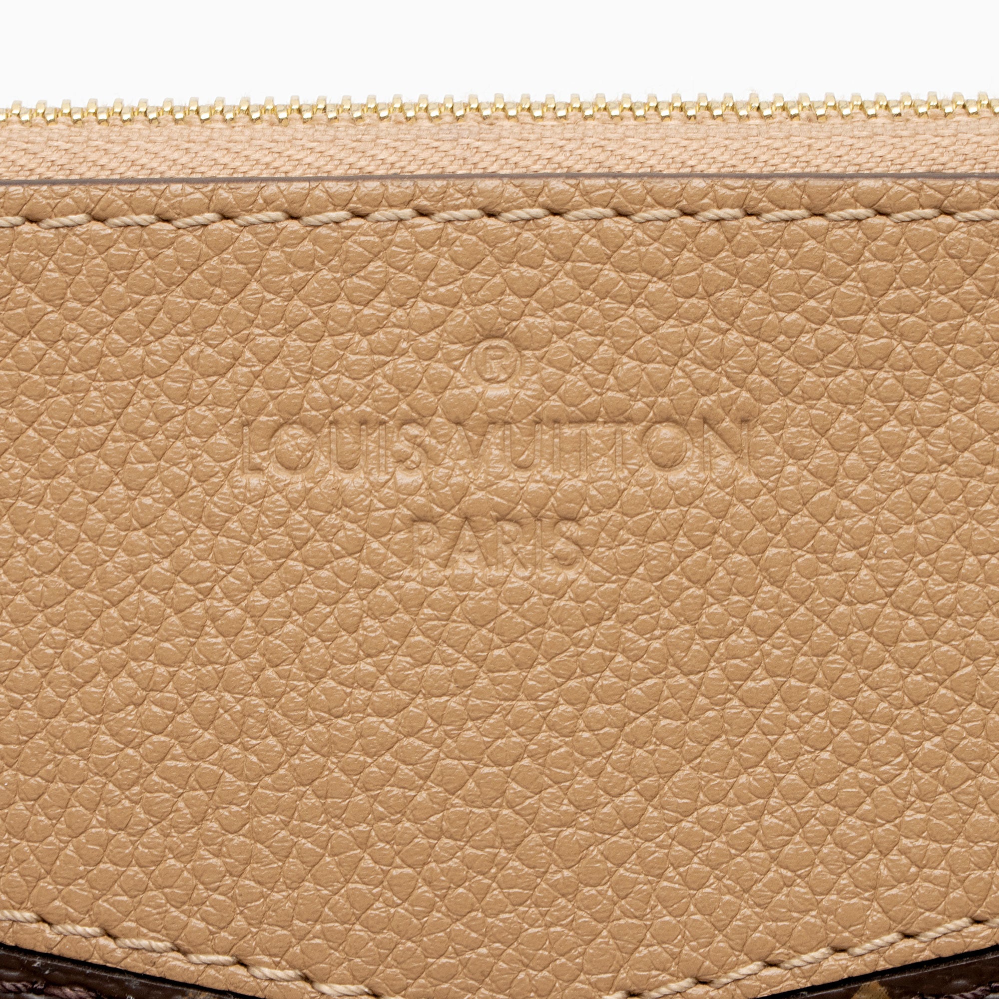 Louis Vuitton Monogram Canvas Daily Pouch