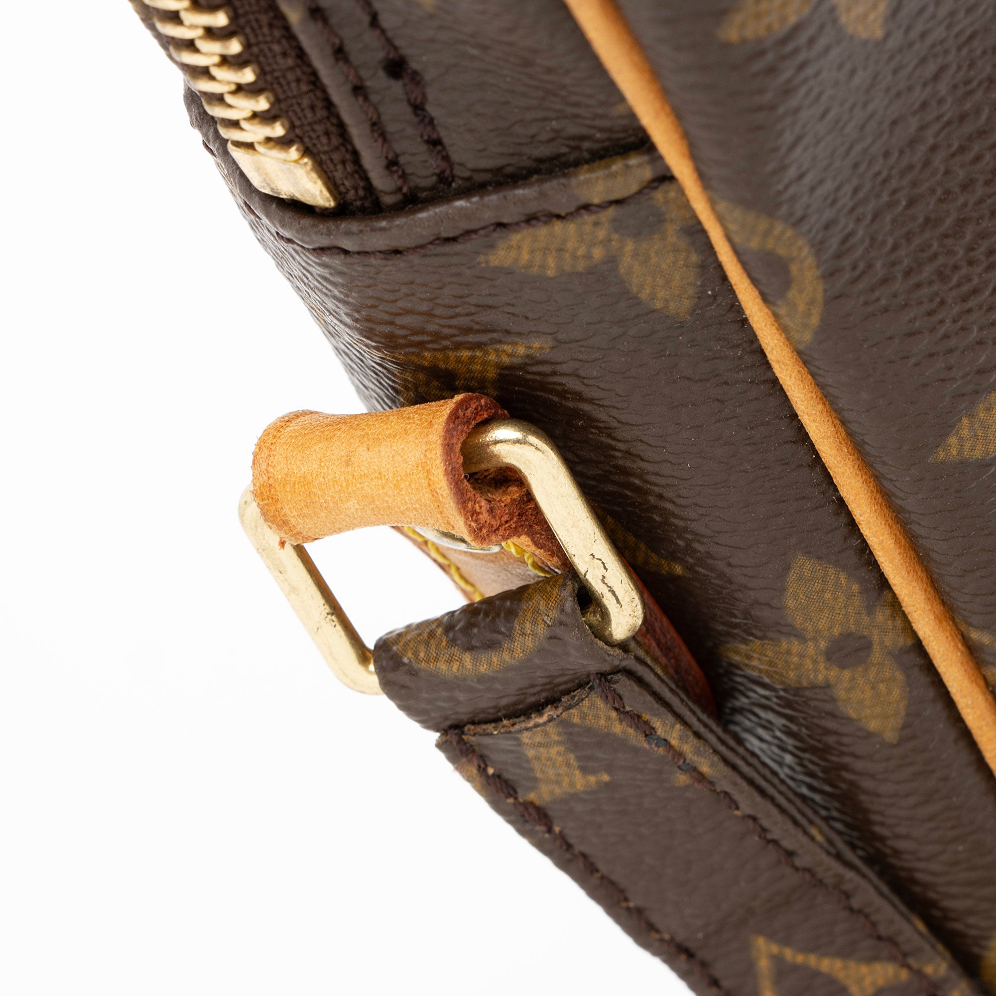 Louis Vuitton Monogram Canvas Danube Shoulder Bag