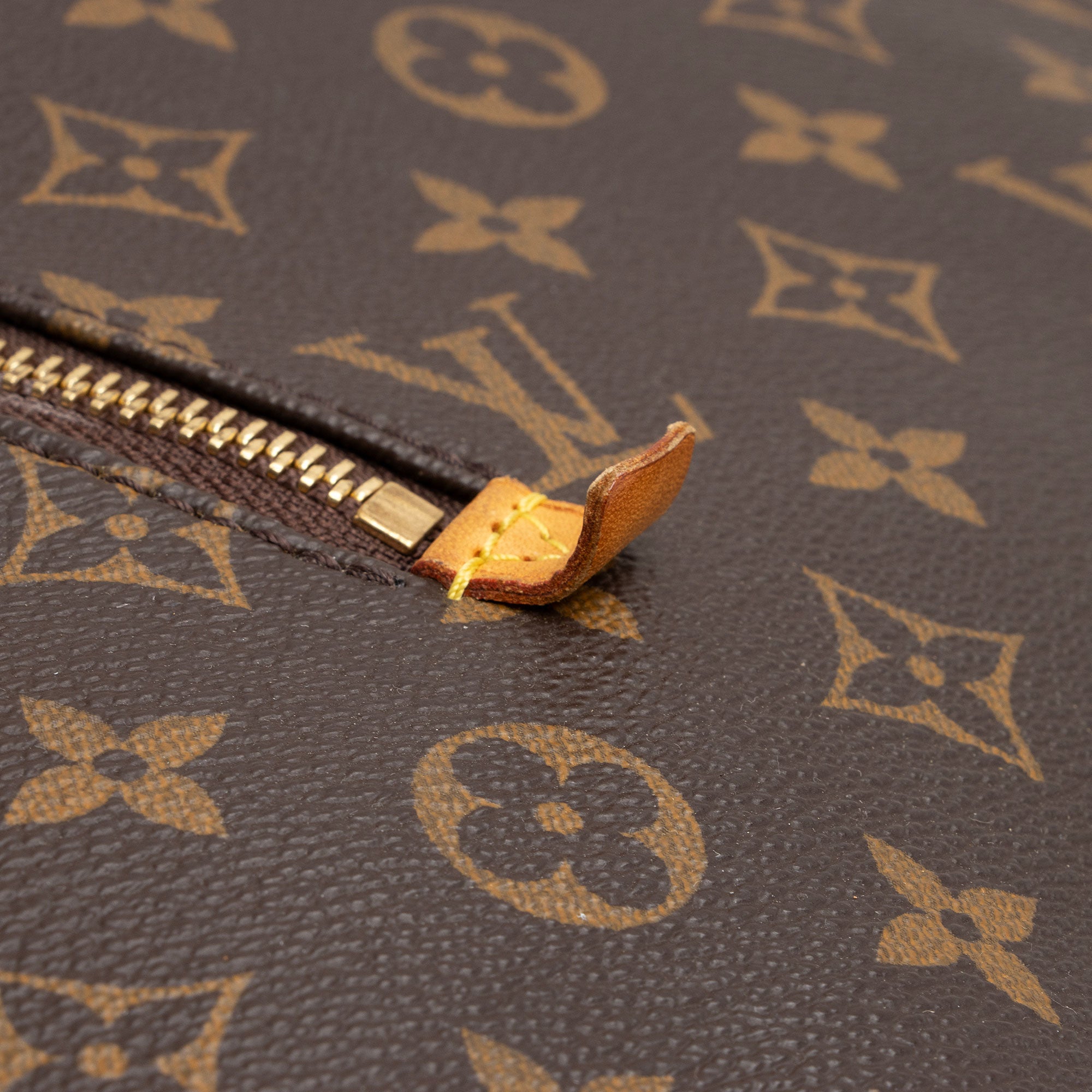Louis Vuitton Monogram Canvas Delightful GM Shoulder Bag (SHF-fsnong)