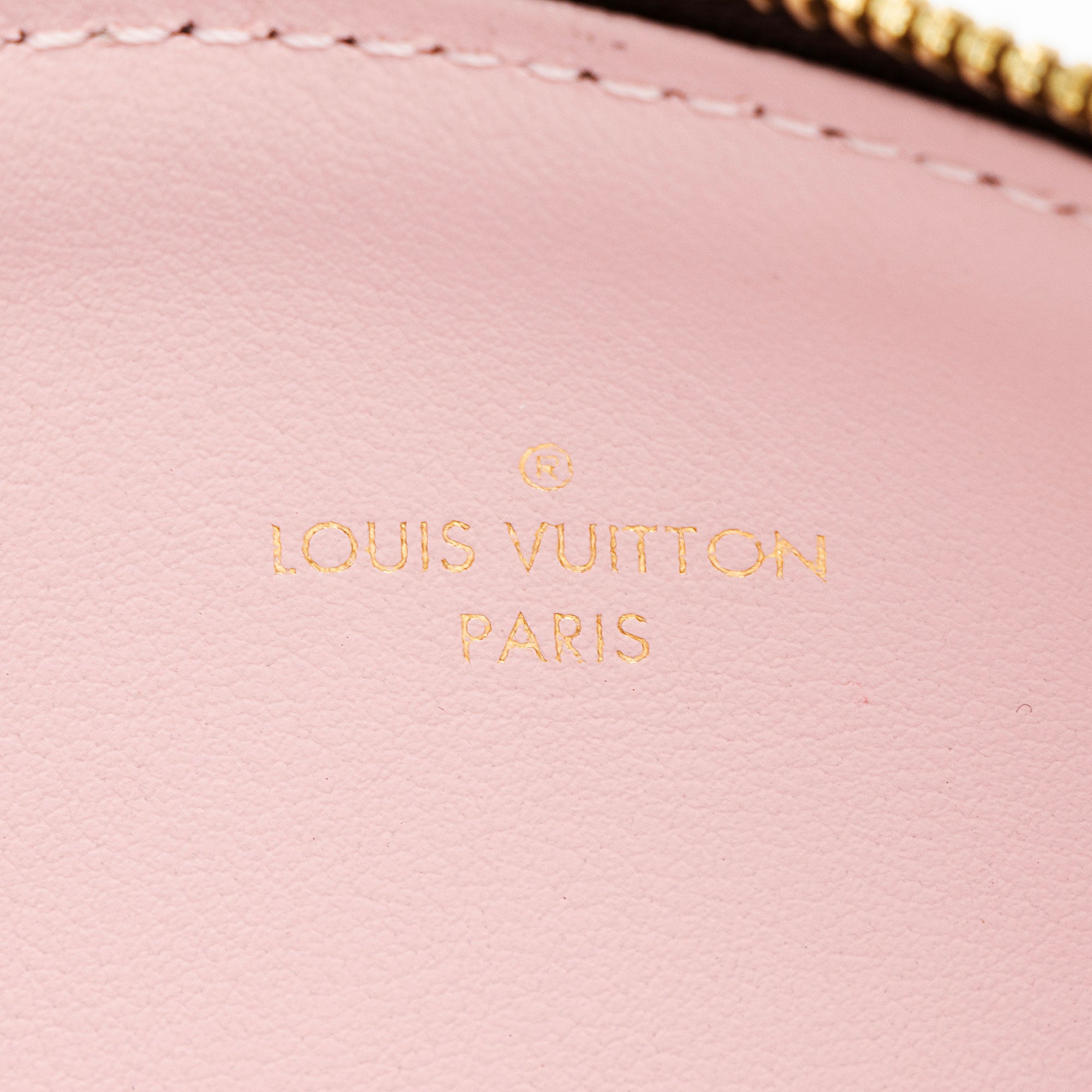 Louis Vuitton Monogram Canvas Felicie Insert