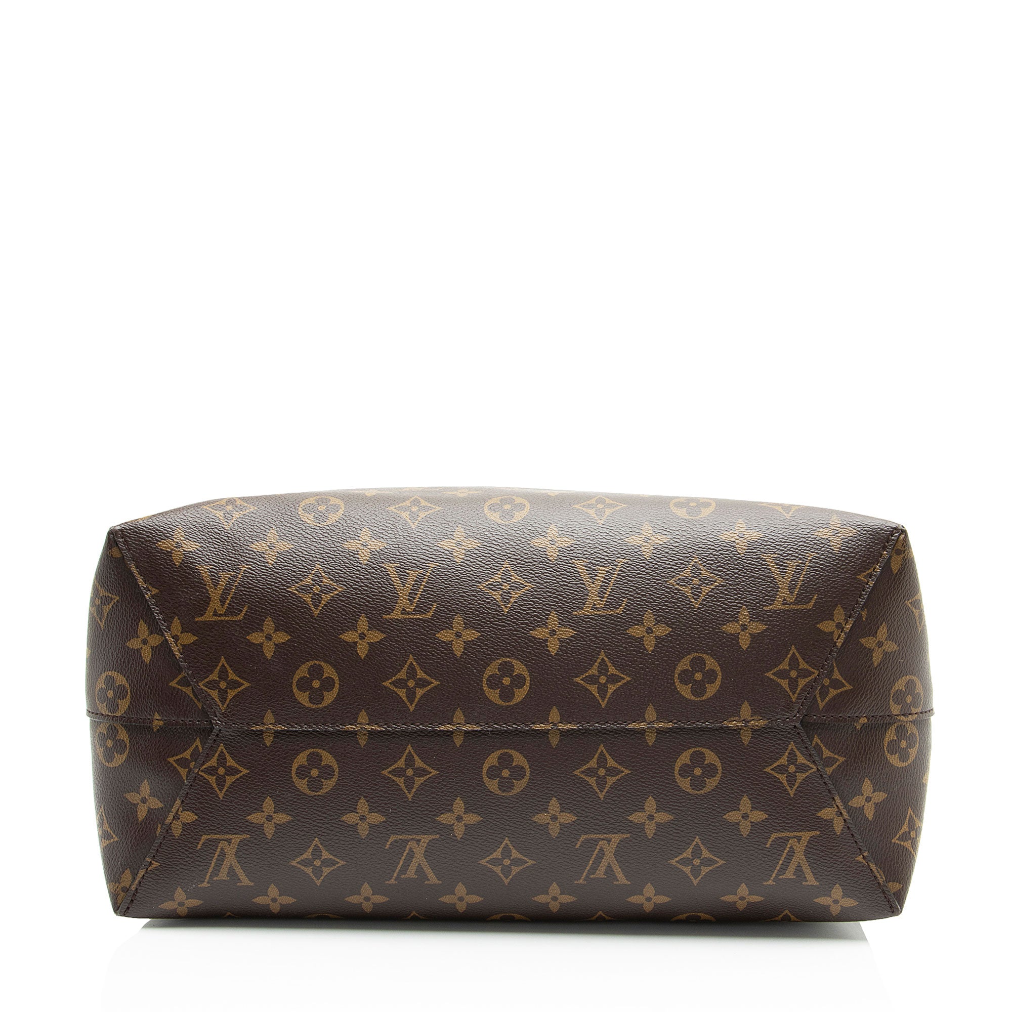Louis Vuitton Monogram Canvas Flower Hobo