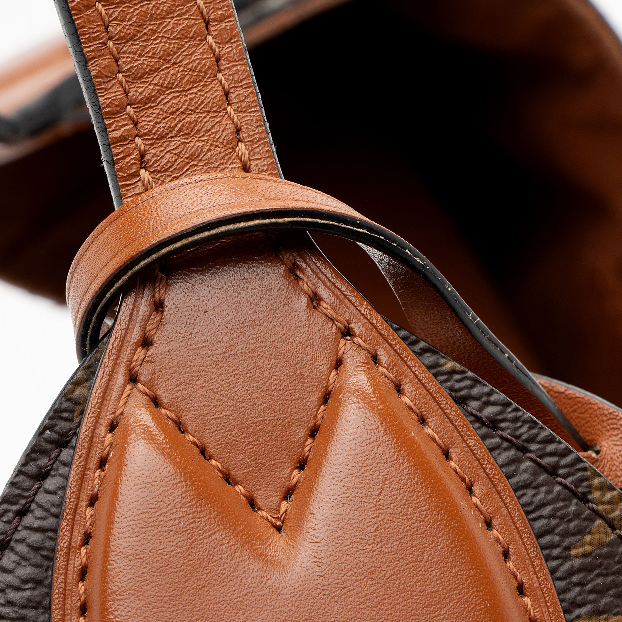 Louis Vuitton Monogram Canvas Flower Hobo