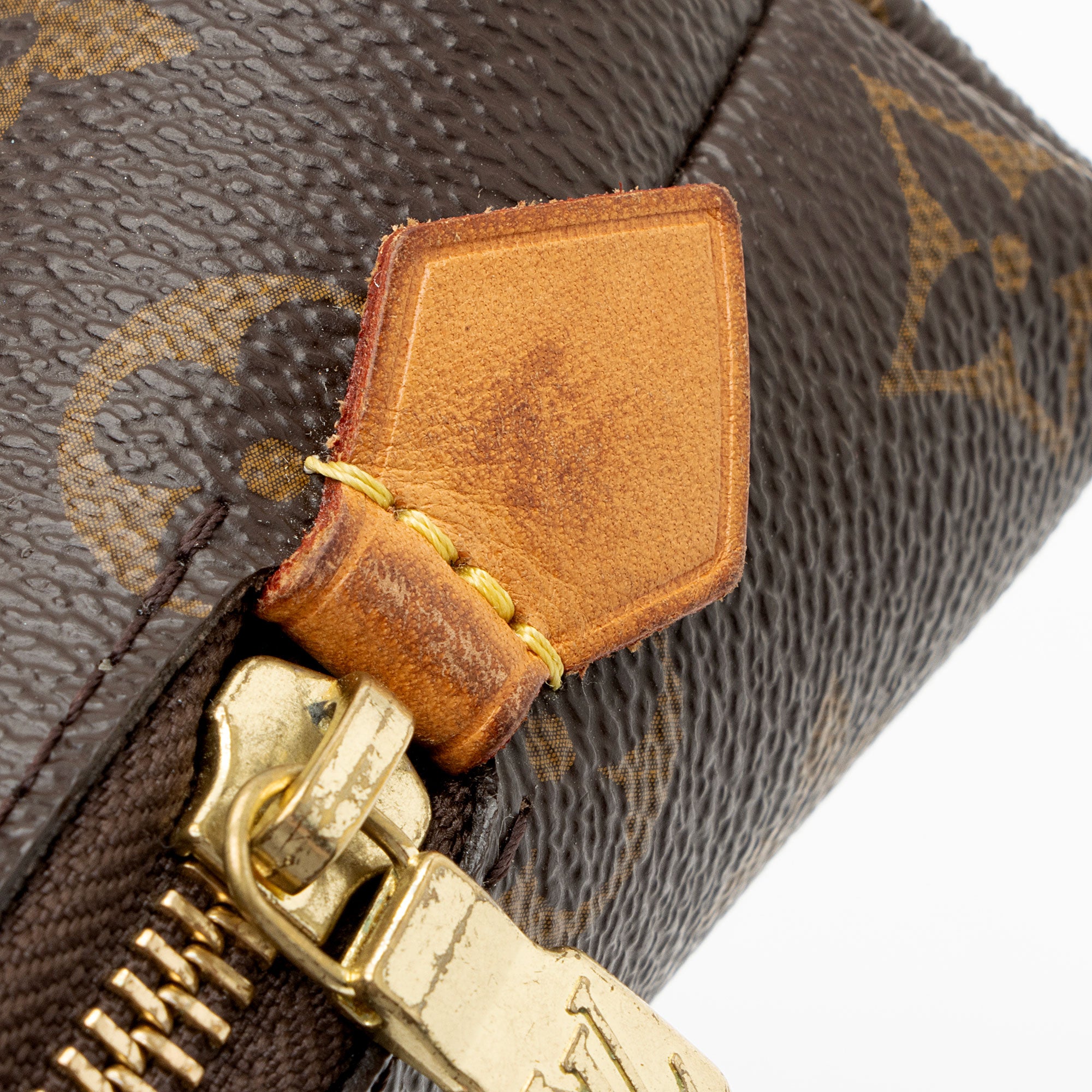 Louis Vuitton Monogram Canvas GM Cosmetic Pouch (SHF-TmU2LL)