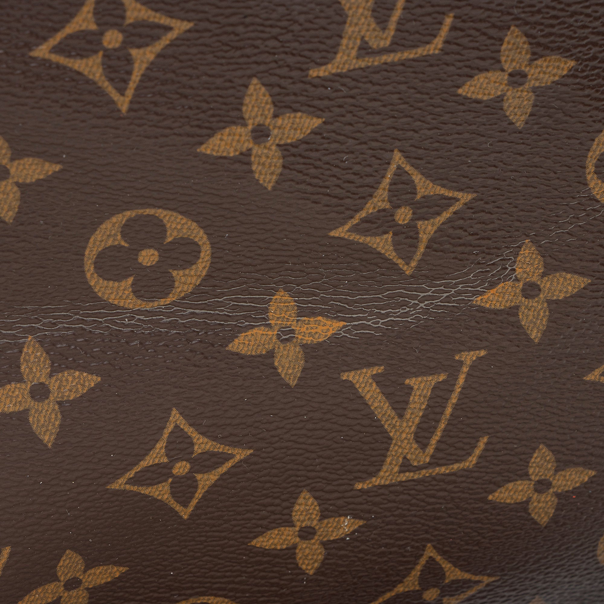 Louis Vuitton Monogram Canvas Gaia Shoulder Bag