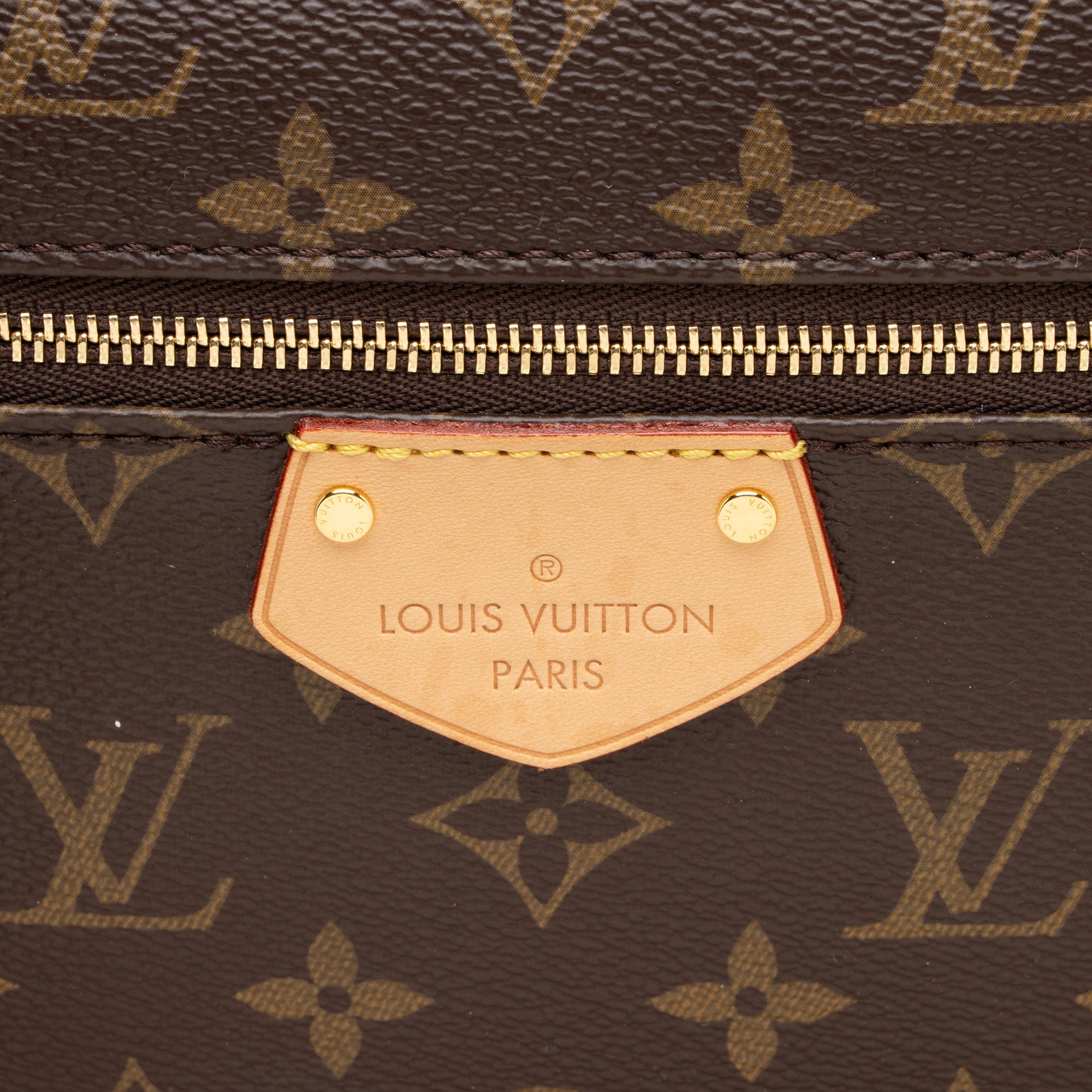 Louis Vuitton Monogram Canvas Iena MM Tote
