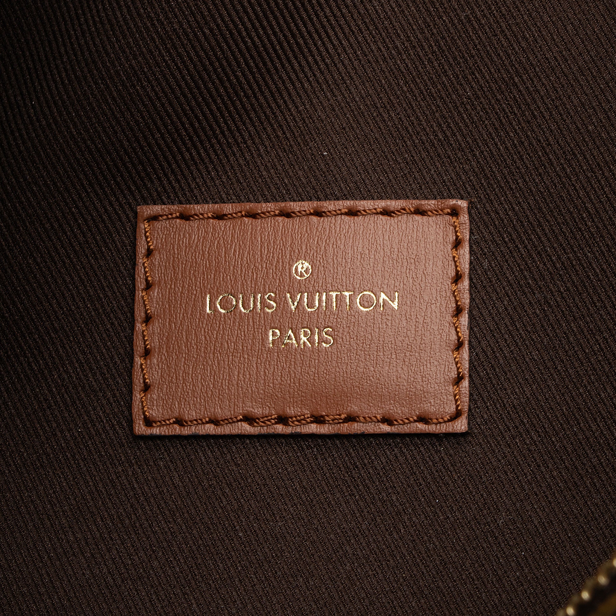 Louis Vuitton Monogram Canvas Loop Hobo (SHF-wexBck)