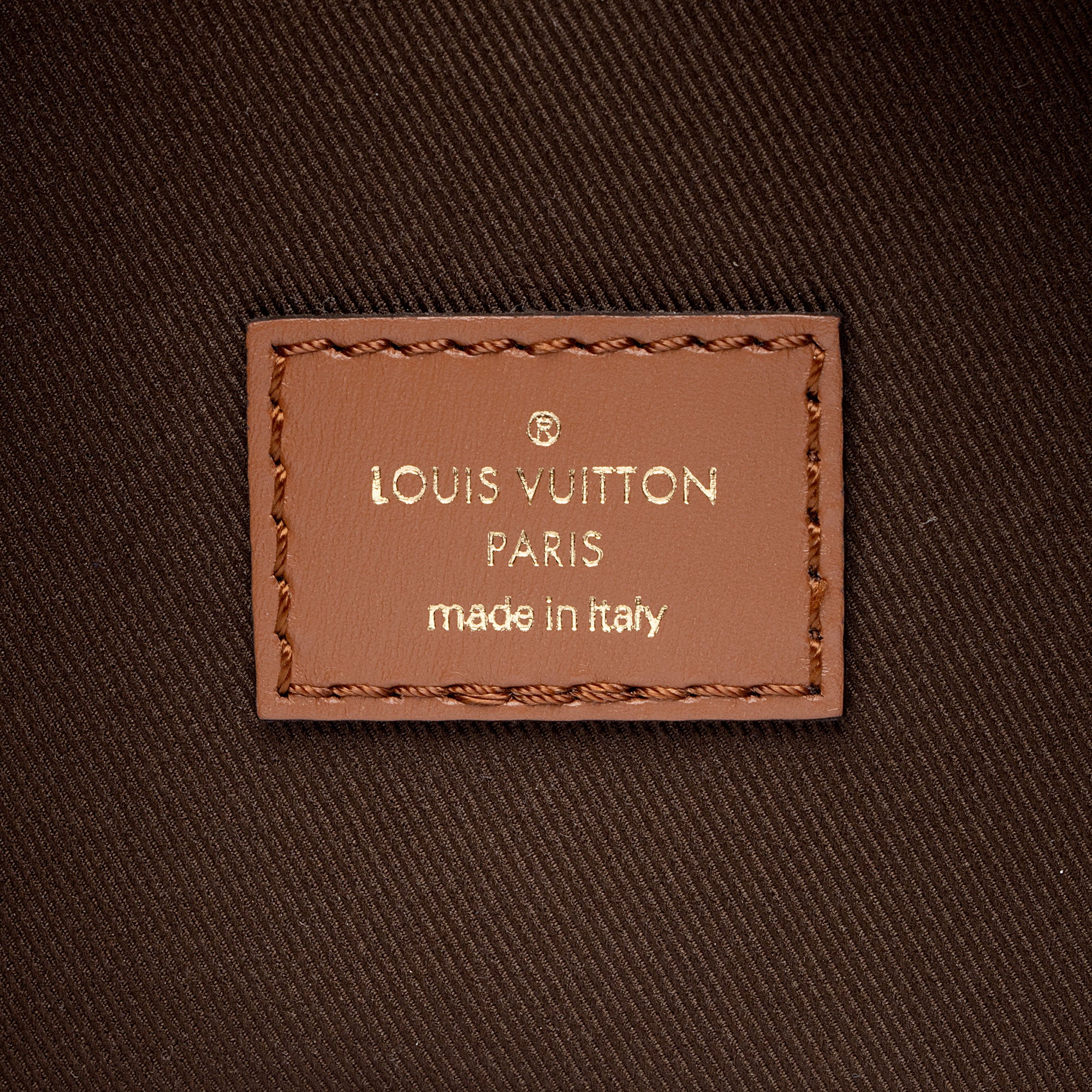 Louis Vuitton Monogram Canvas Loop Hobo (SHF-R02ZNT)