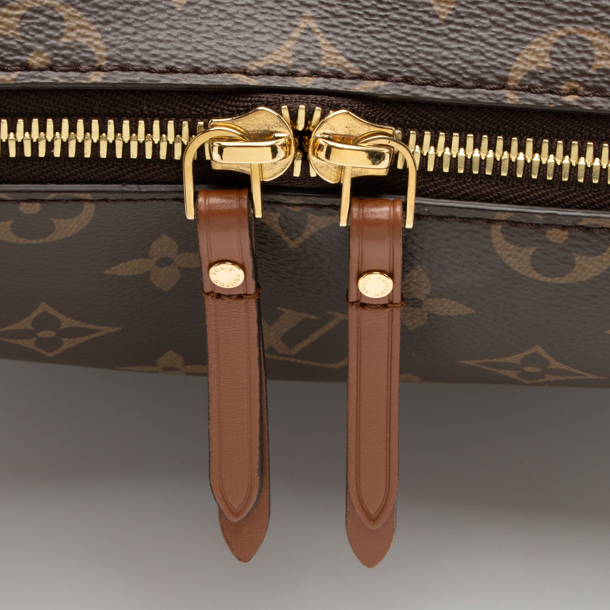 Louis Vuitton Monogram Canvas Loop Hobo (SHF-PKy8bn)