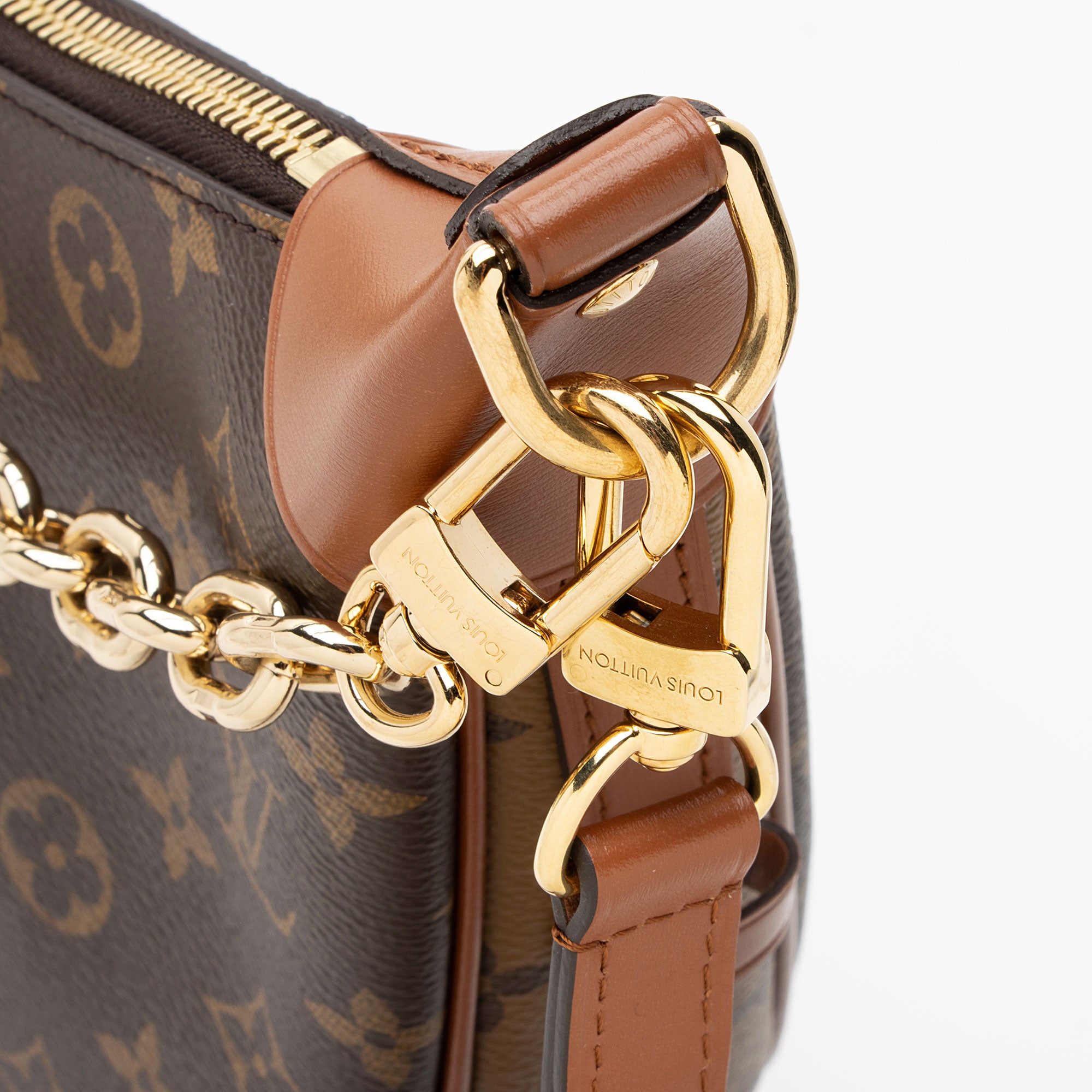 Louis Vuitton Monogram Canvas Loop Hobo