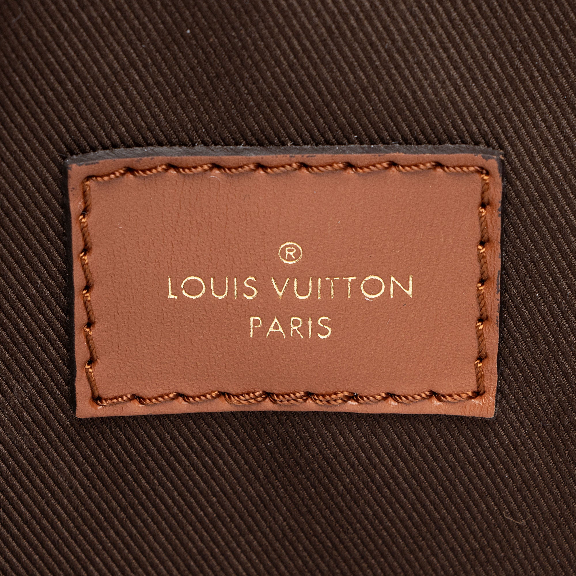 Louis Vuitton Monogram Canvas Loop Hobo