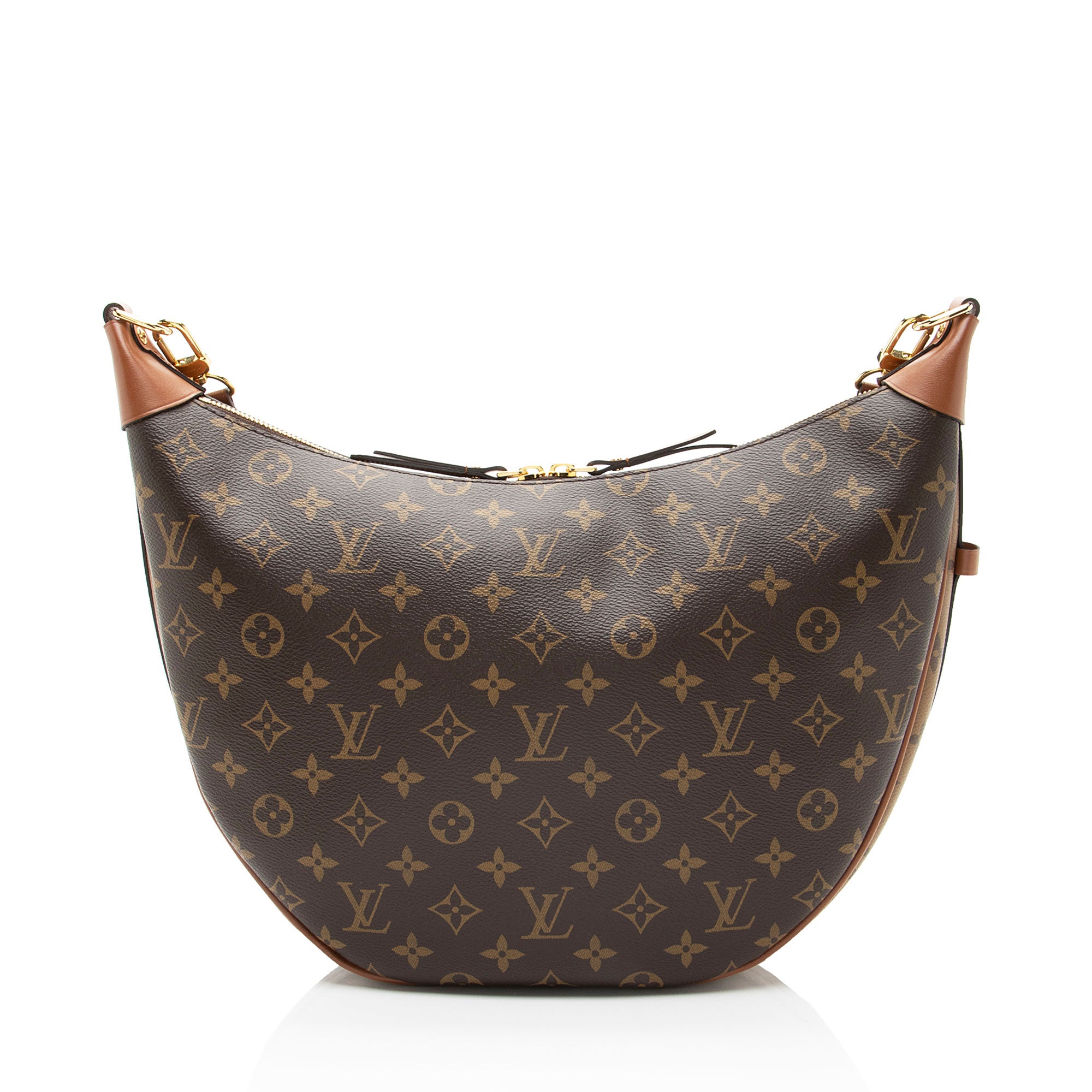 Louis Vuitton Monogram Canvas Loop Hobo