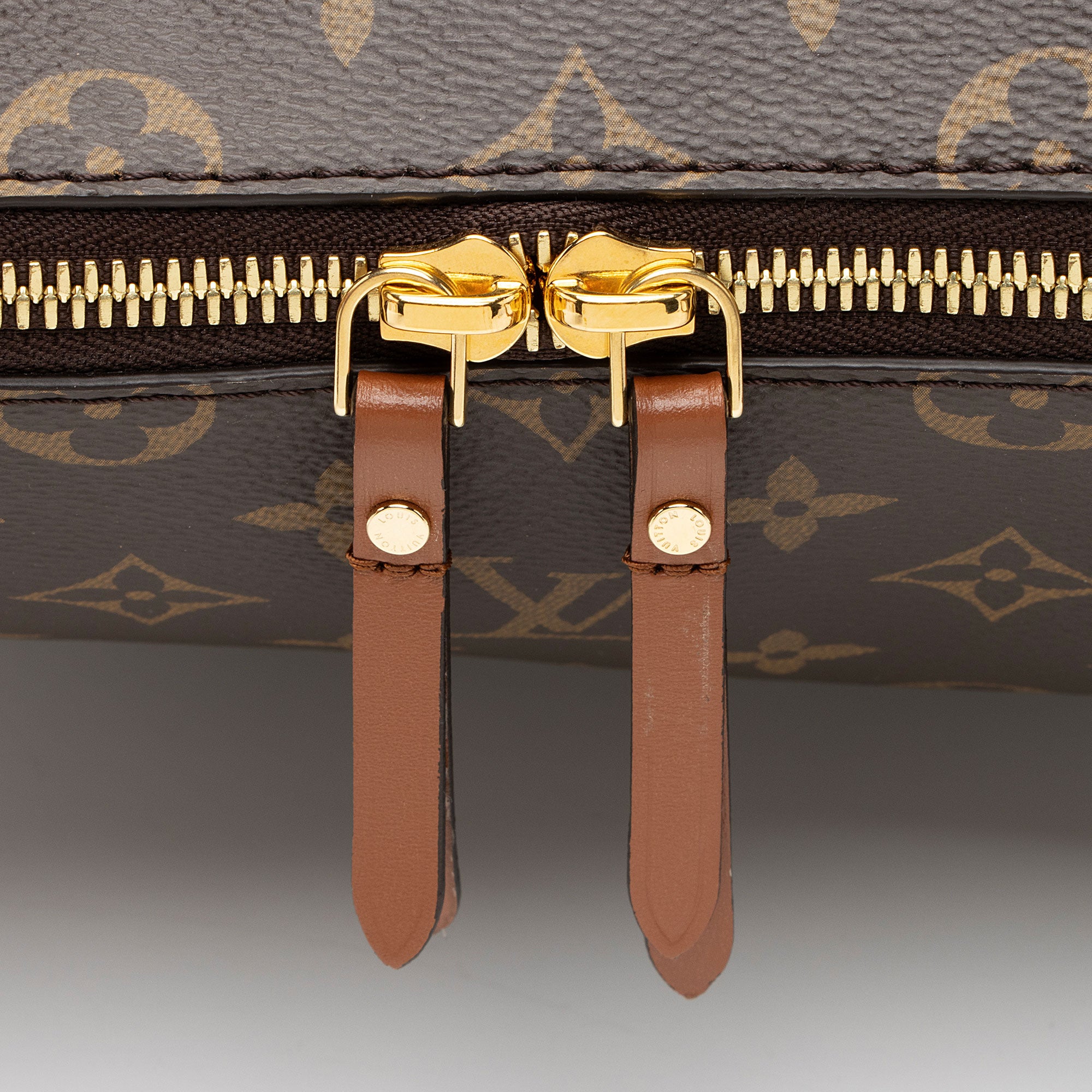 Louis Vuitton Monogram Canvas Loop Hobo