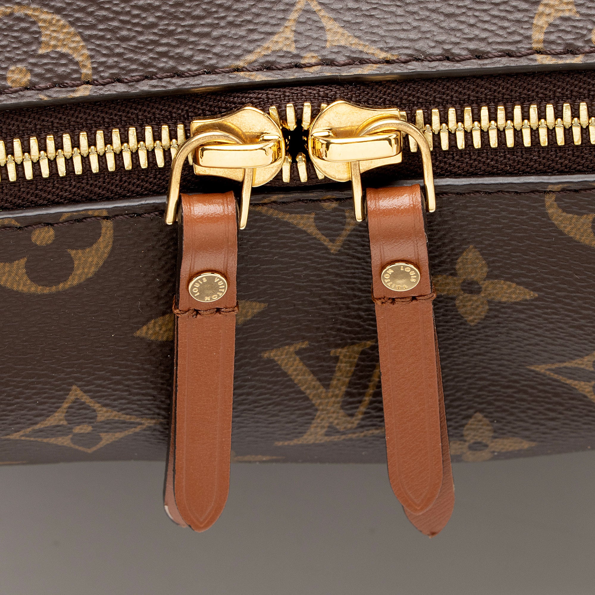 Louis Vuitton Monogram Canvas Loop Hobo