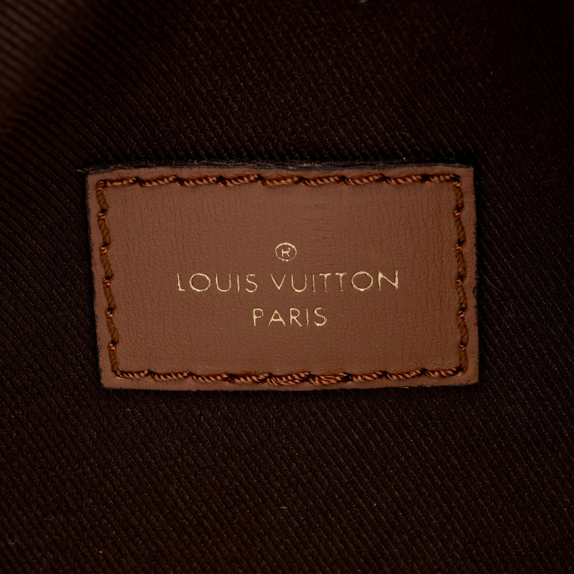 Louis Vuitton Monogram Canvas Loop Hobo