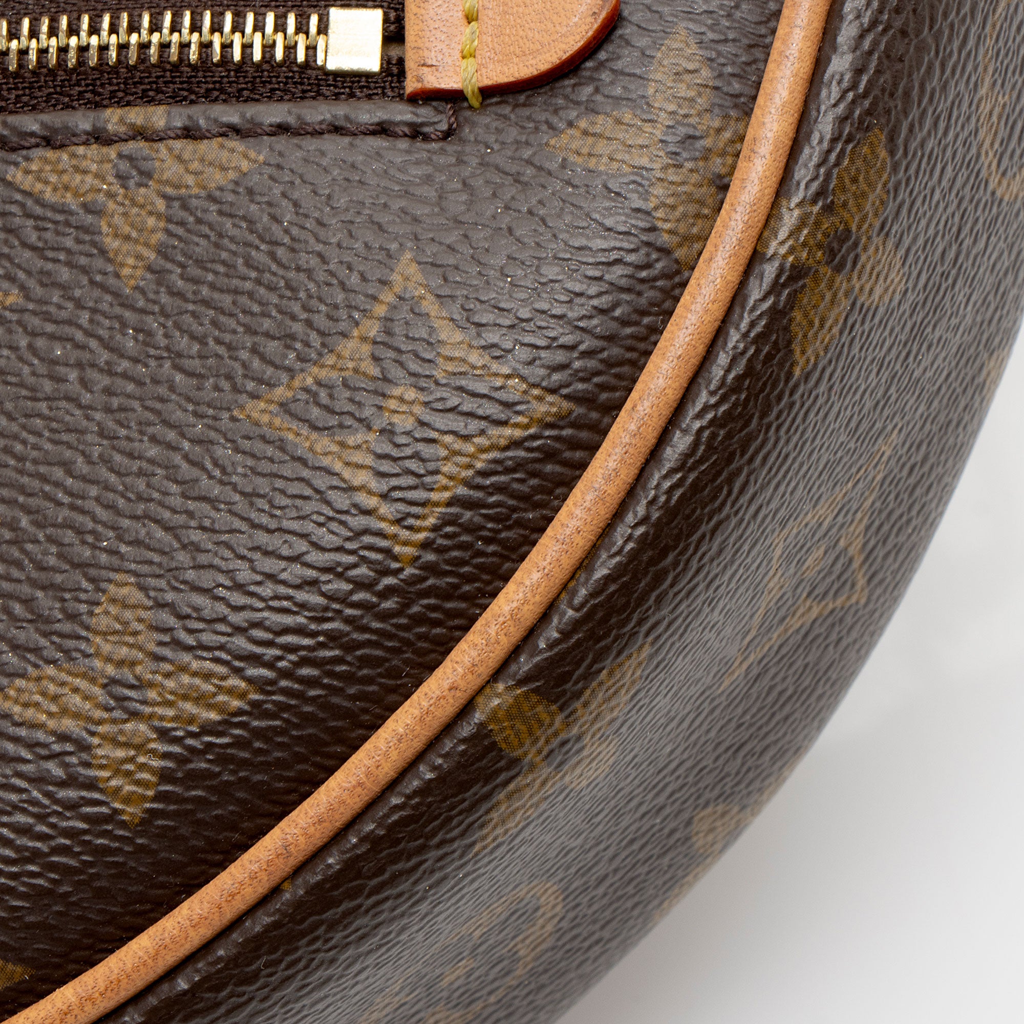 Louis Vuitton Monogram Canvas Loop Shoulder Bag