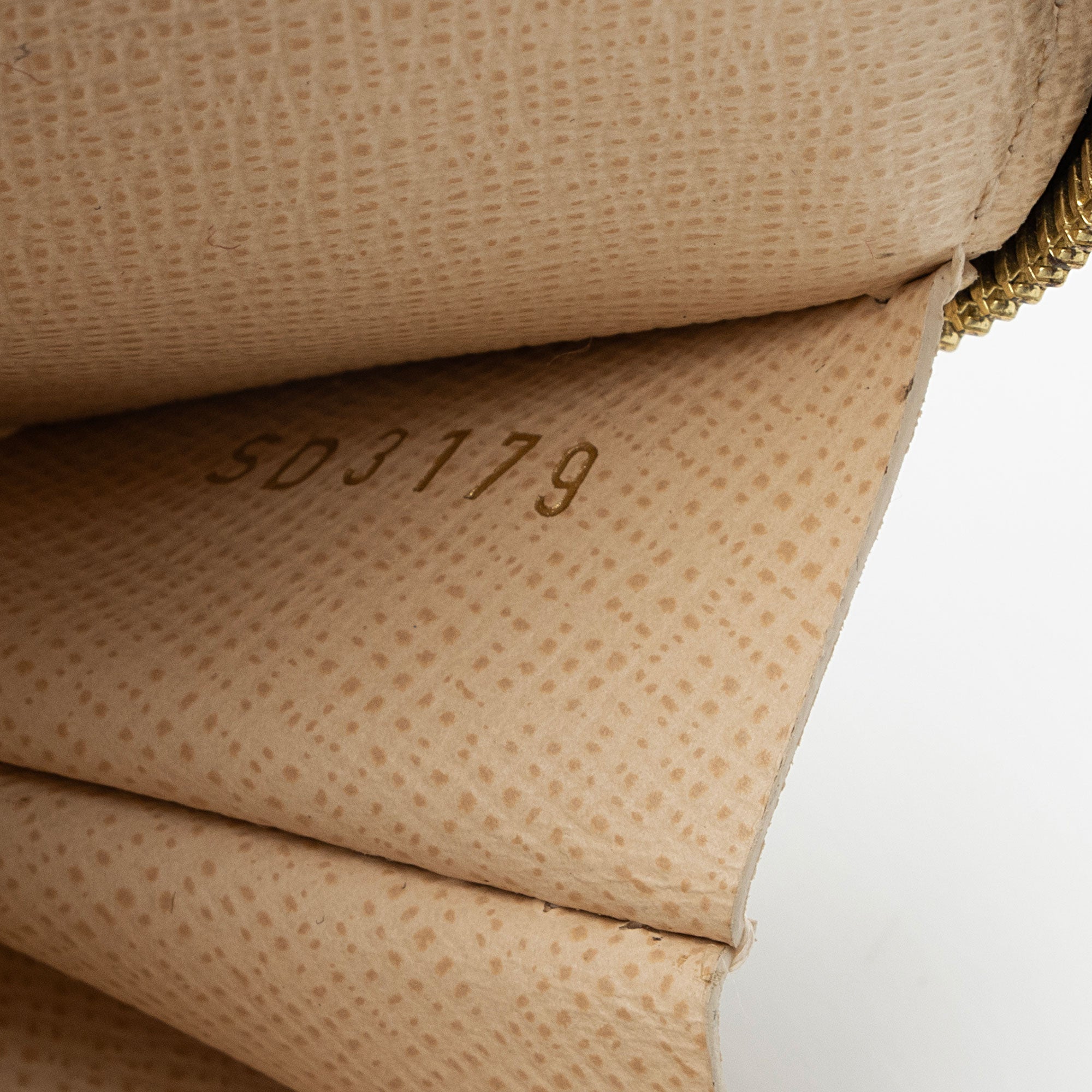 Louis Vuitton Monogram Canvas Multi-Pochette Accessoires (SHF-1m0o71)