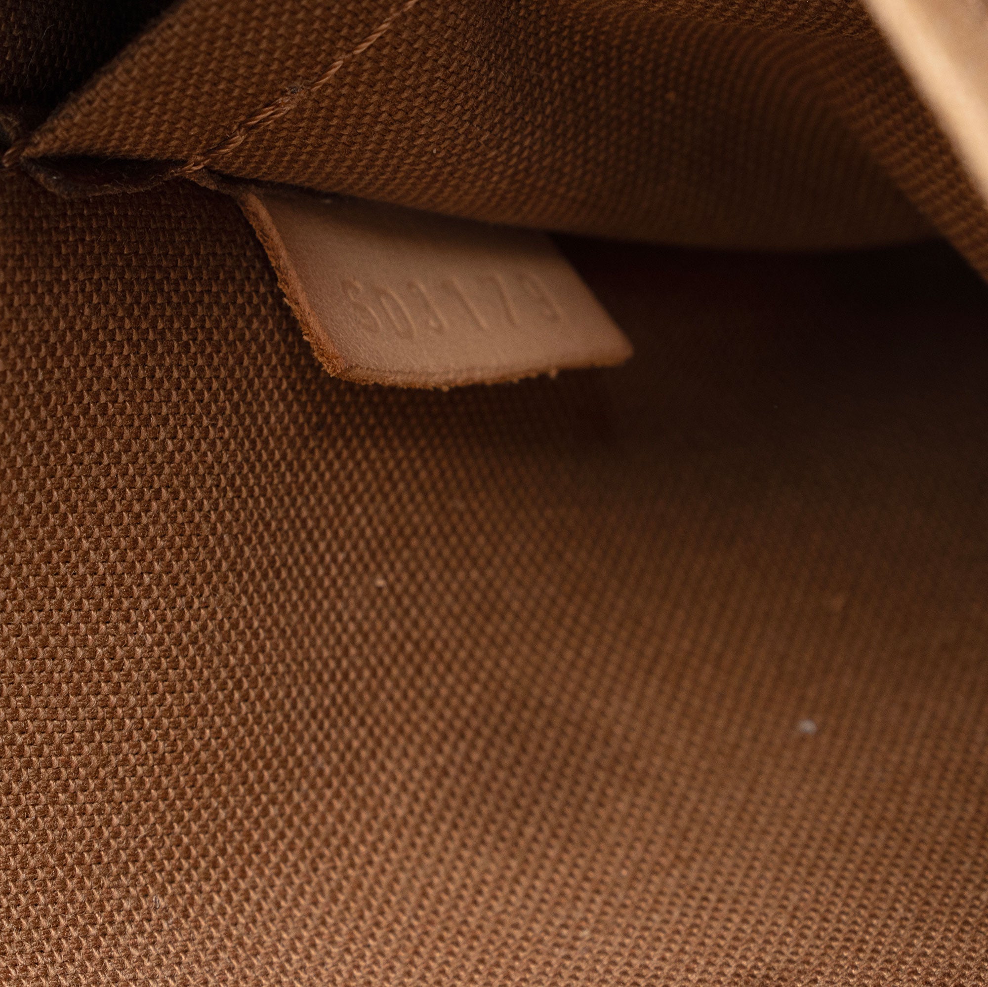 Louis Vuitton Monogram Canvas Multi-Pochette Accessoires (SHF-1m0o71)