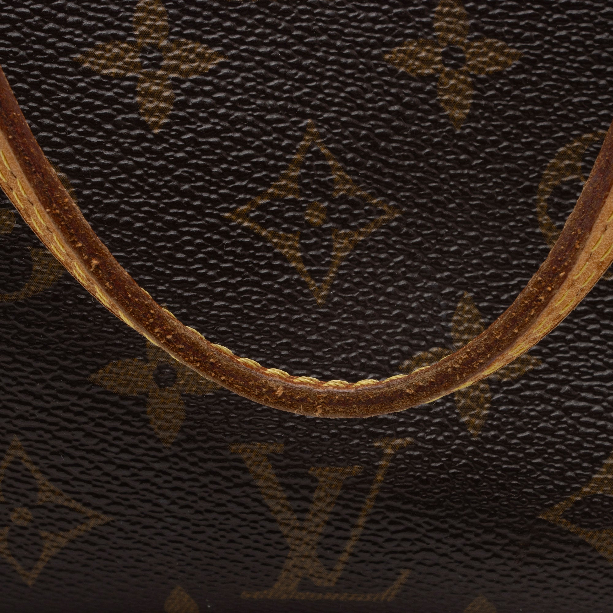 Louis Vuitton Monogram Canvas Neverfull PM Tote (SHF-21qFKS)